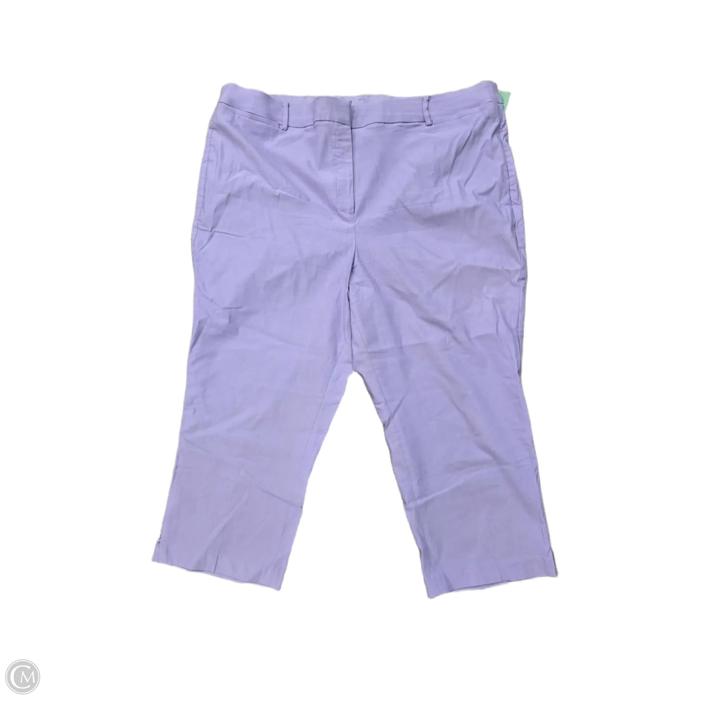 Pants Chinos & Khakis By Lane Bryant In Purple, Size: 24