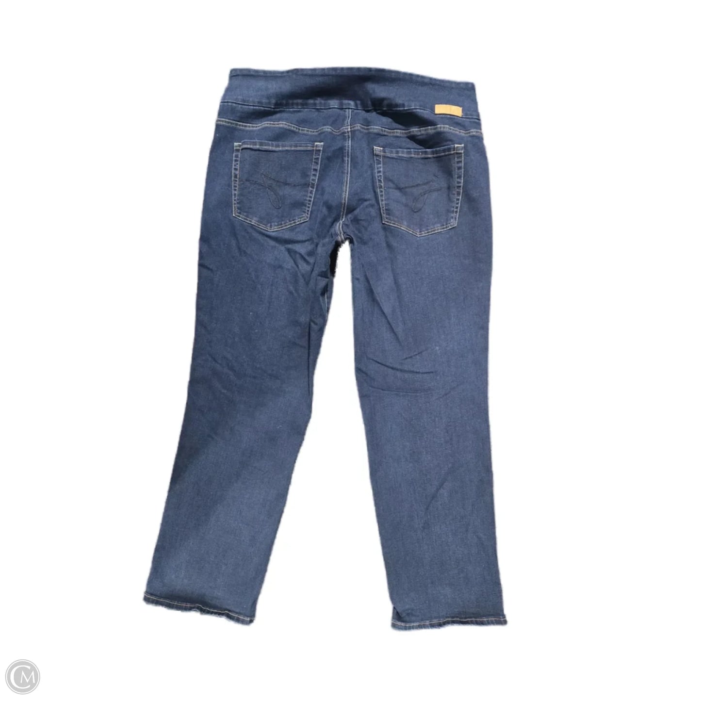 Jeans Jeggings By Jag In Blue Denim, Size: 24