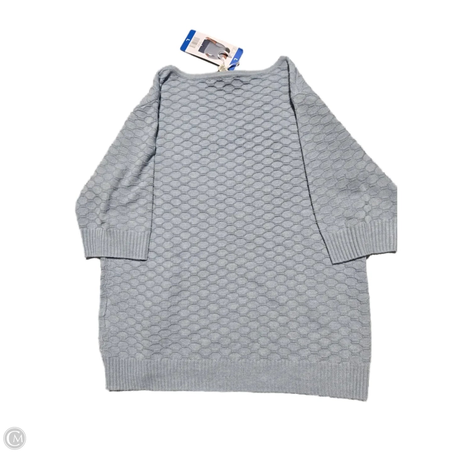 Sweater By Ella Moss In Blue, Size: L