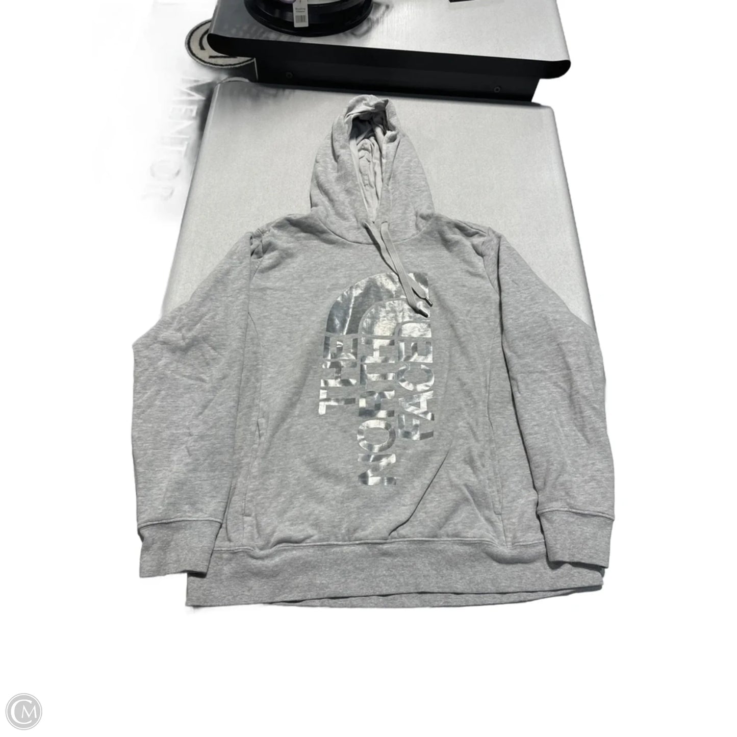 Sweatshirt Hoodie By The North Face In Grey, Size: Xl