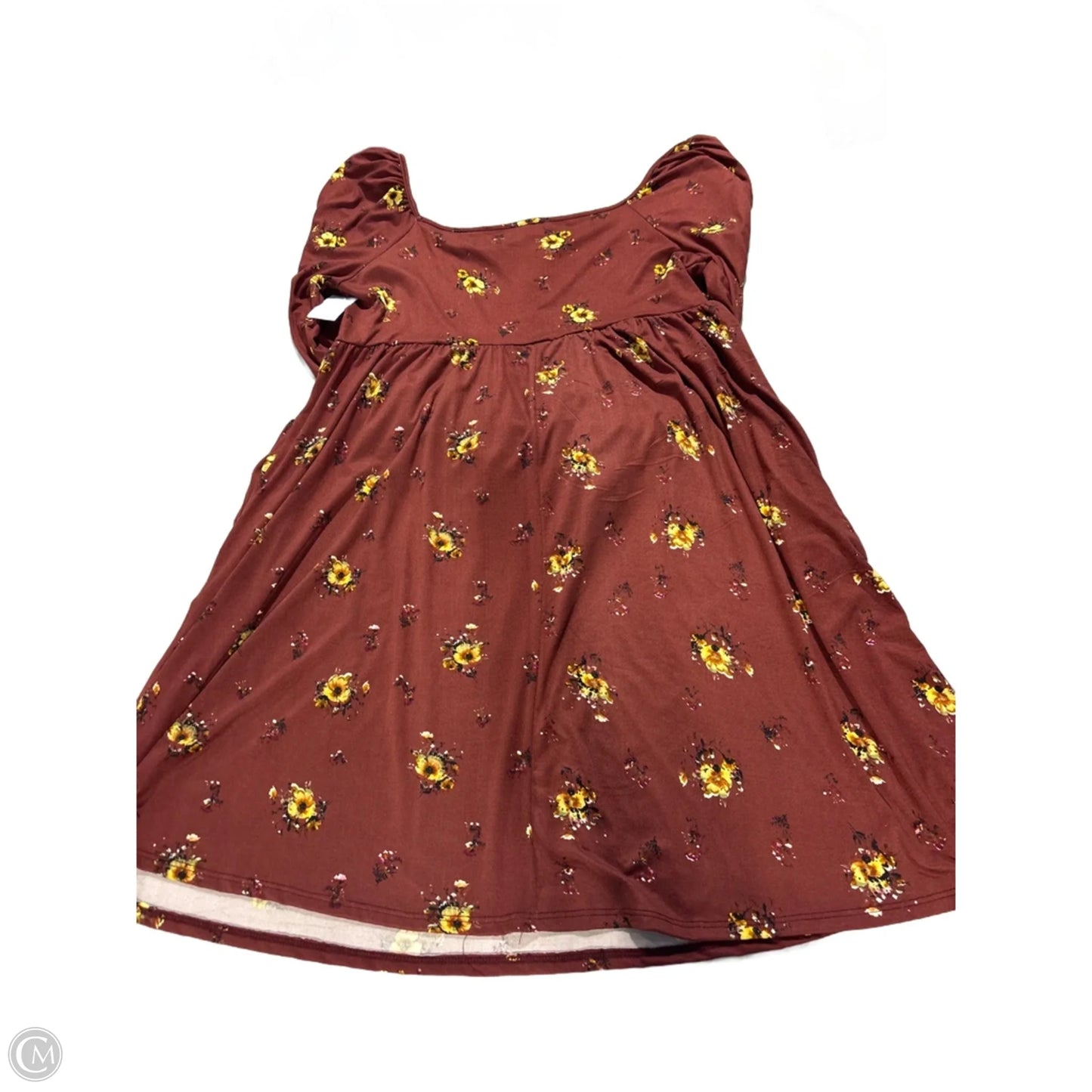 Dress Casual Short By Haptics In Brown, Size: M