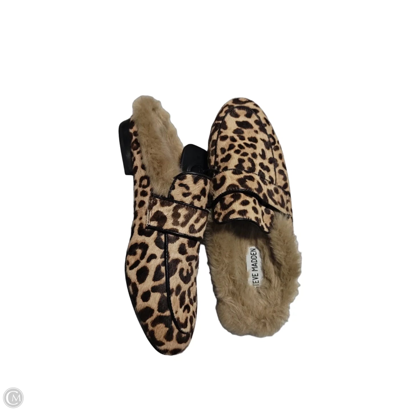 Shoes Flats By Steve Madden In Animal Print, Size: 6.5