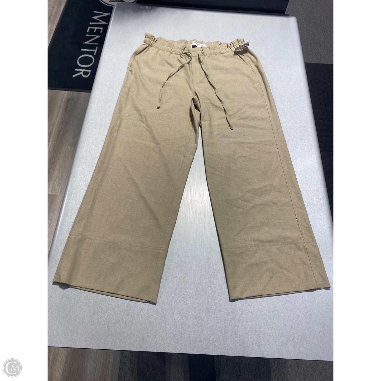 Pants Linen By Liverpool In Tan, Size: M