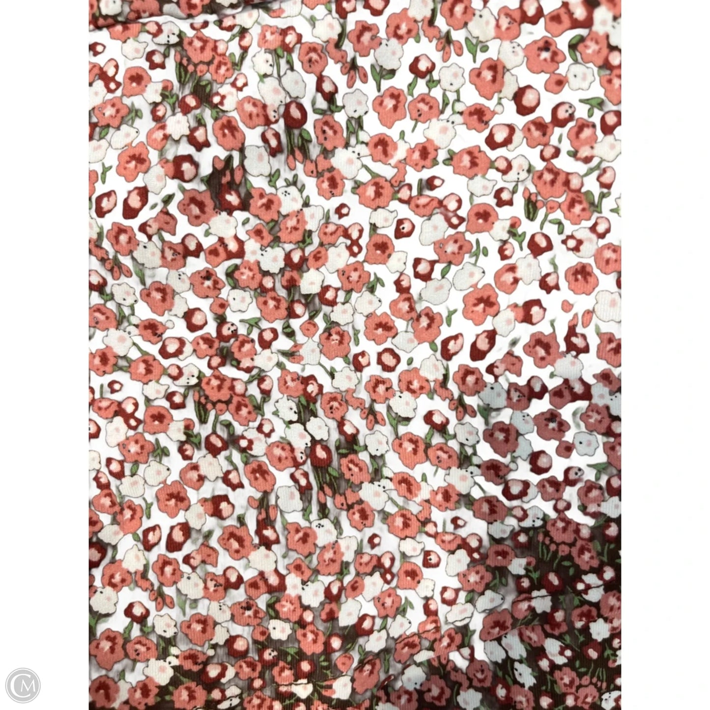 Dress Casual Short By Arula In Floral Print, Size: 1x