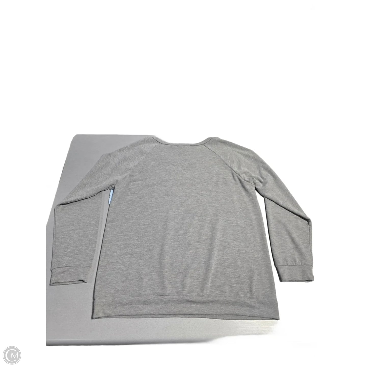 Top Long Sleeve By Fantastic Fawn In Grey, Size: L