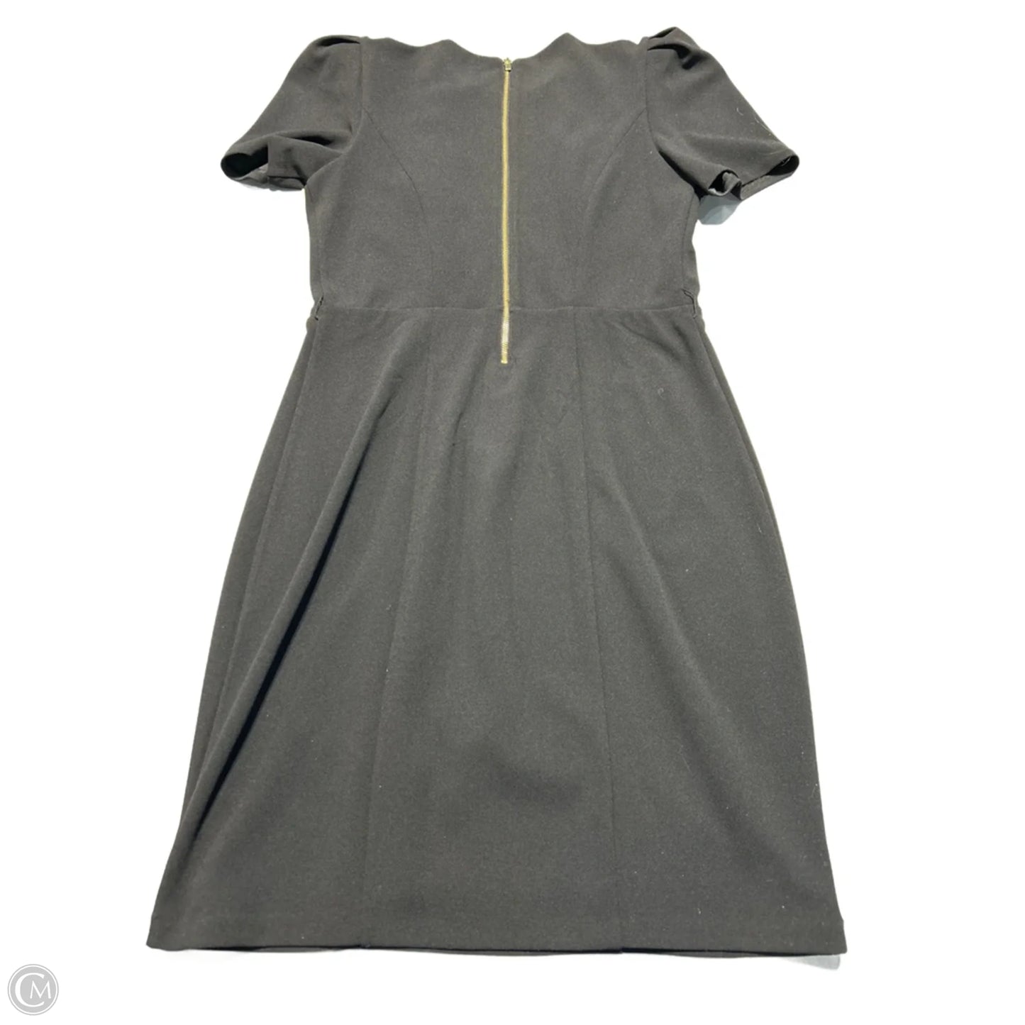 Dress Casual Short By Express In Black, Size: M