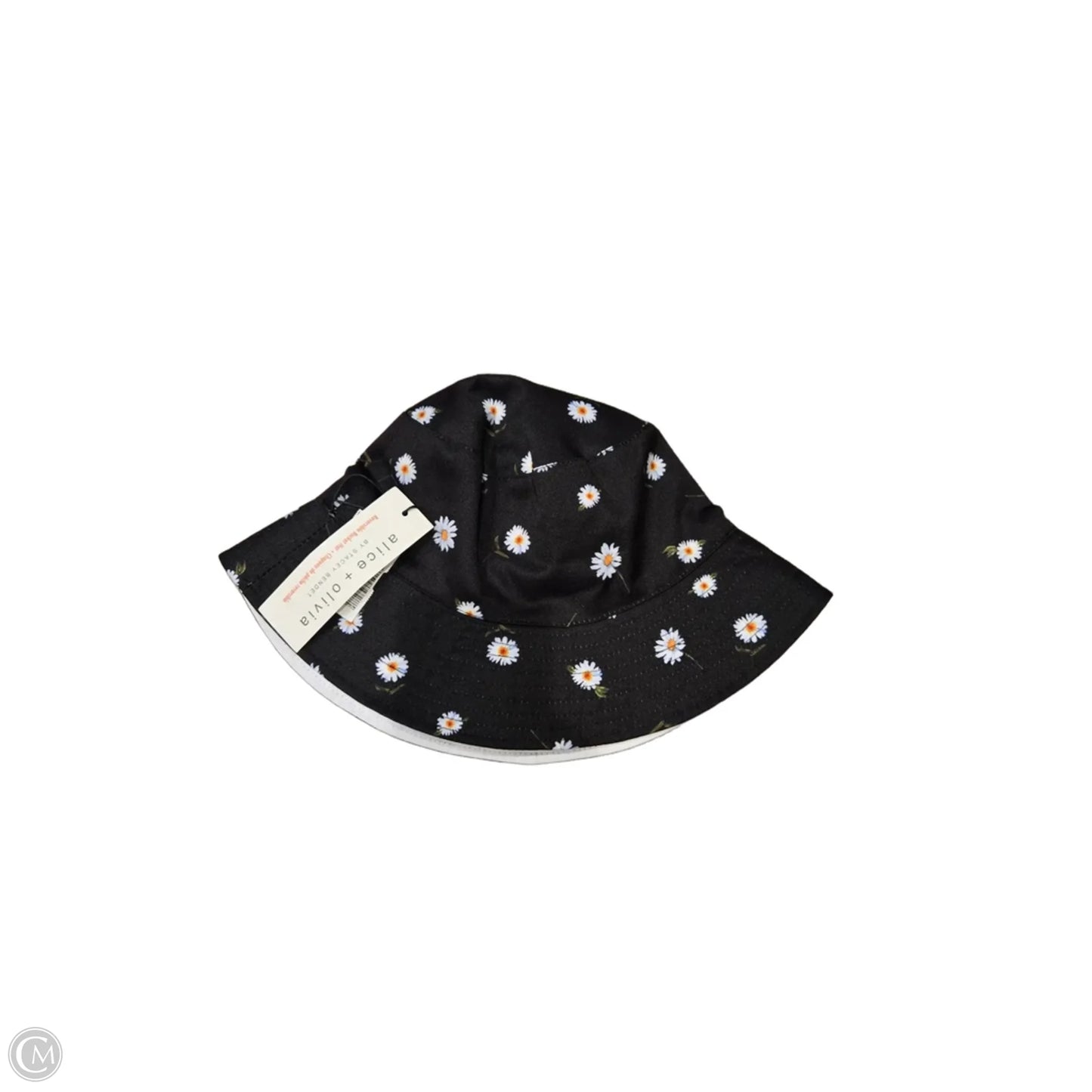 Hat By Alice + Olivia, Size: Medium