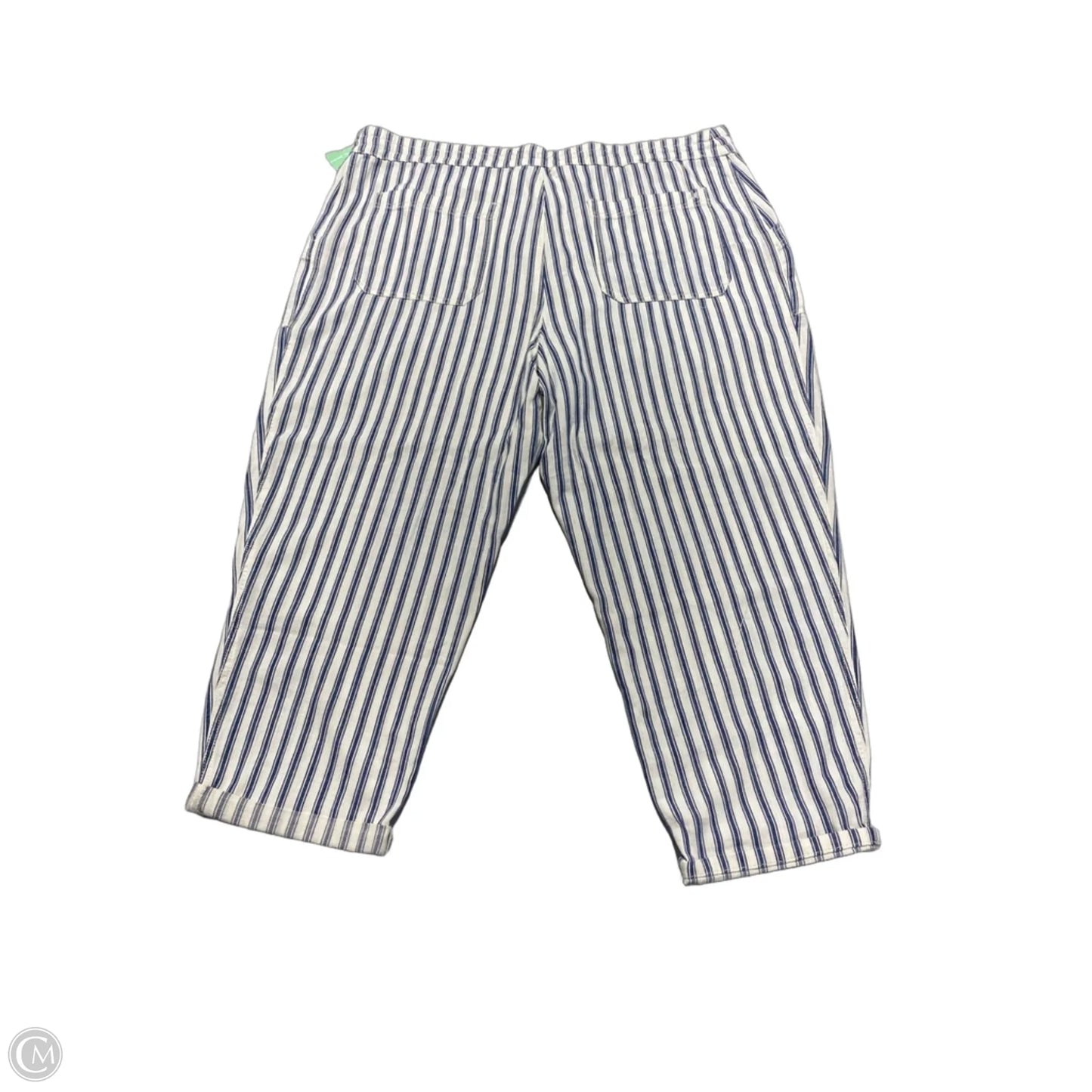 Pants Other By American Eagle In Striped Pattern, Size: 22