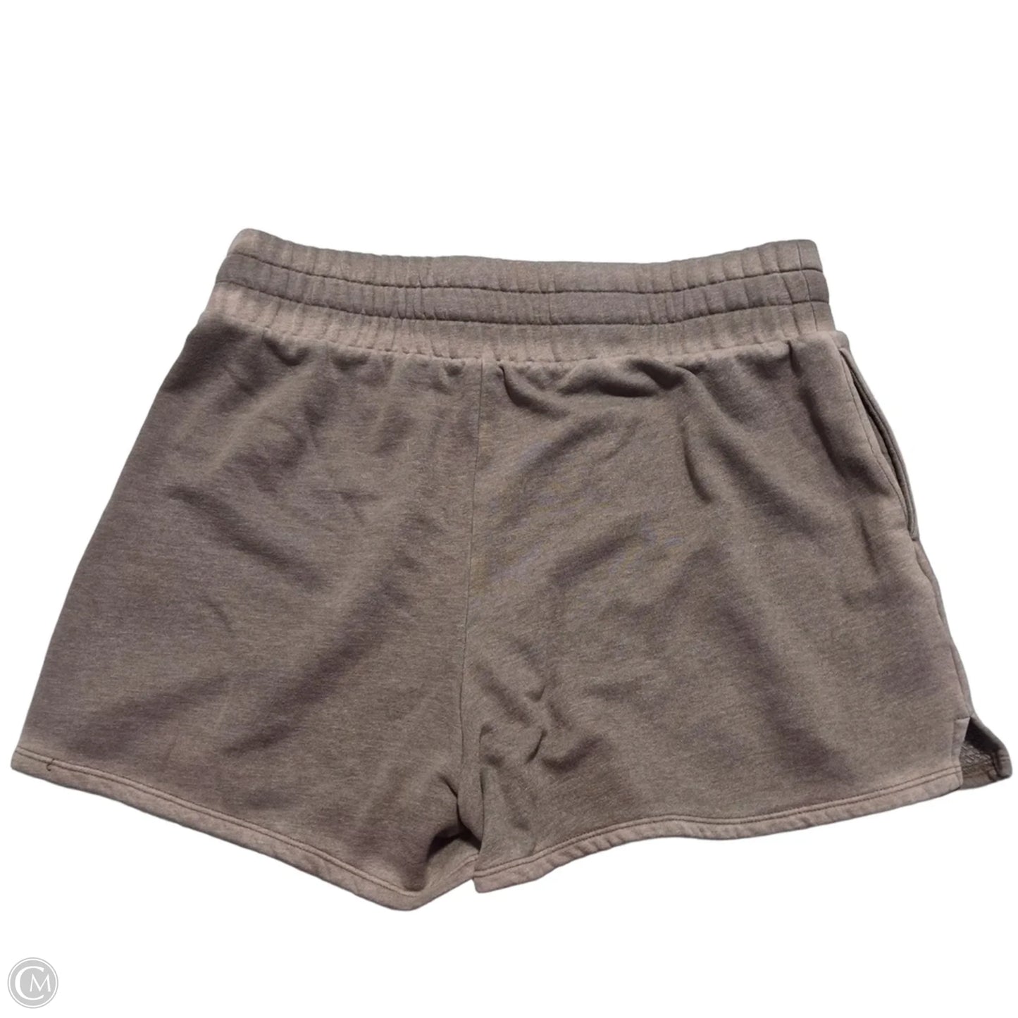 Shorts By Wild Fable In Brown, Size: Xl
