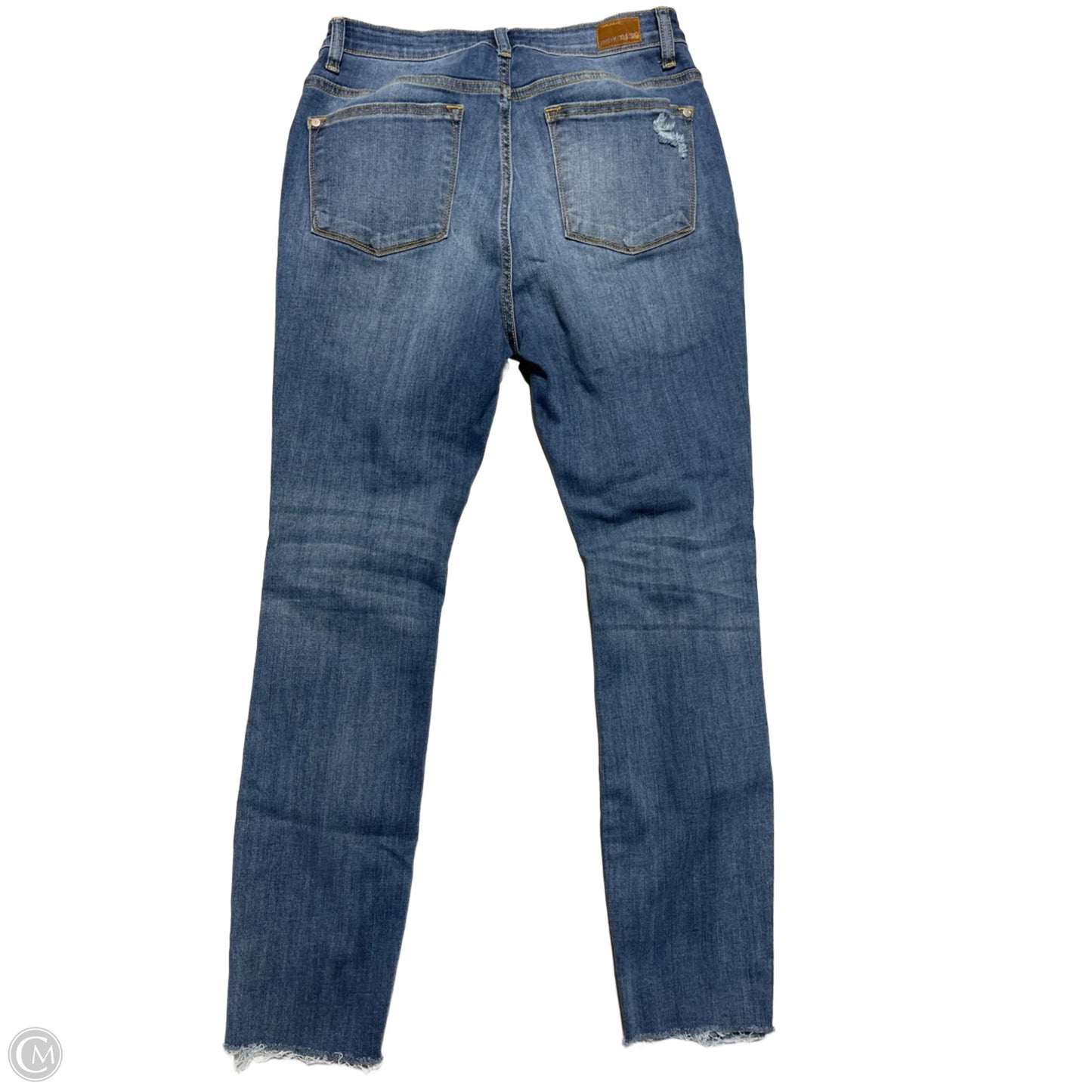 Jeans Skinny By Judy Blue In Blue Denim, Size: 12