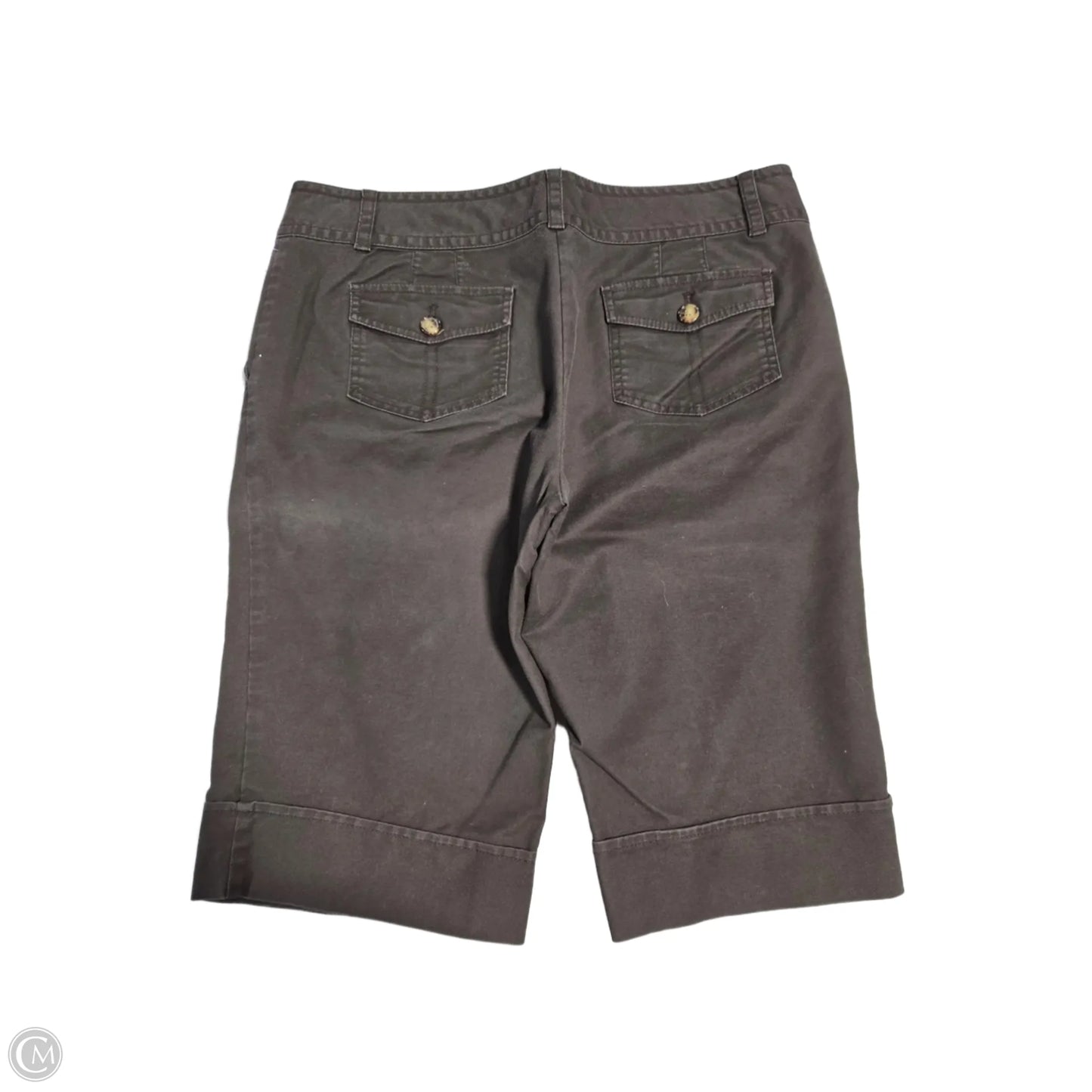 Shorts By Ann Taylor In Brown, Size: 14