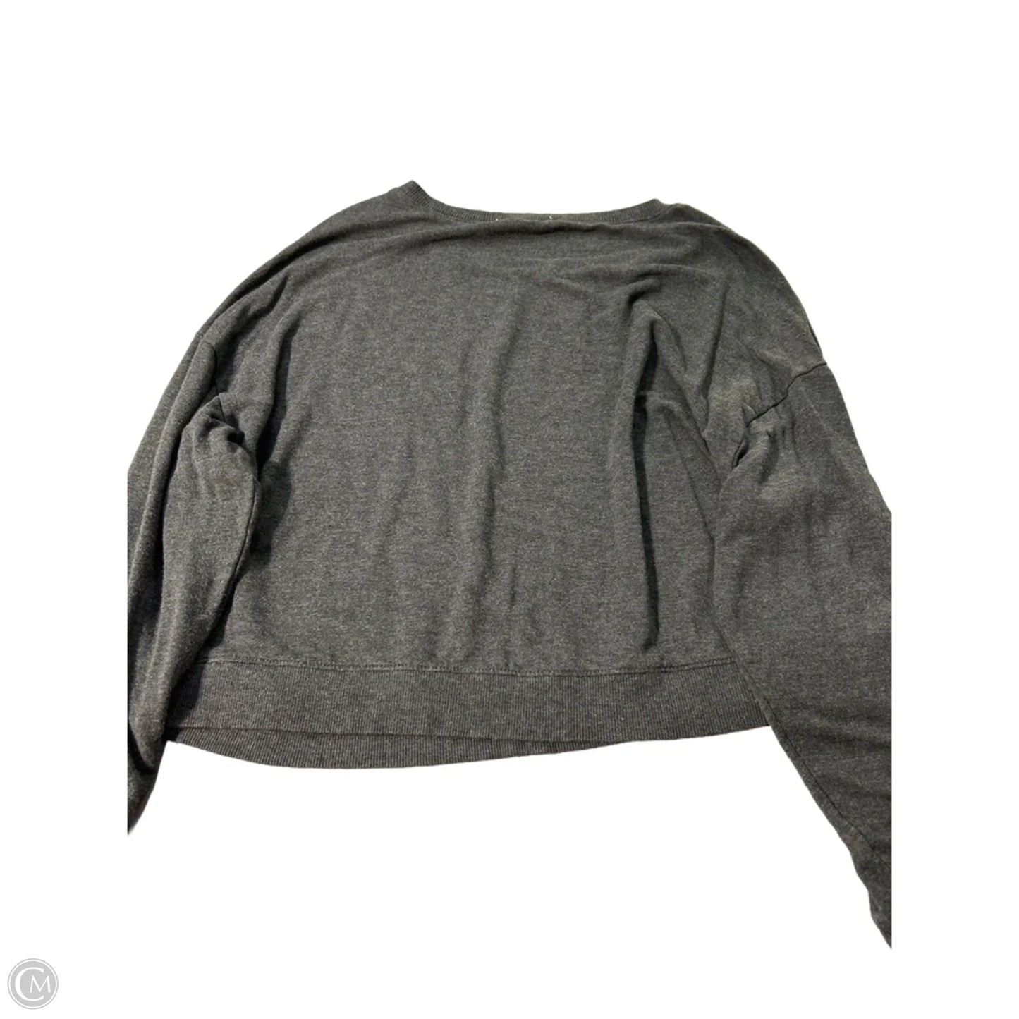 Top Long Sleeve By Z Supply In Grey, Size: L