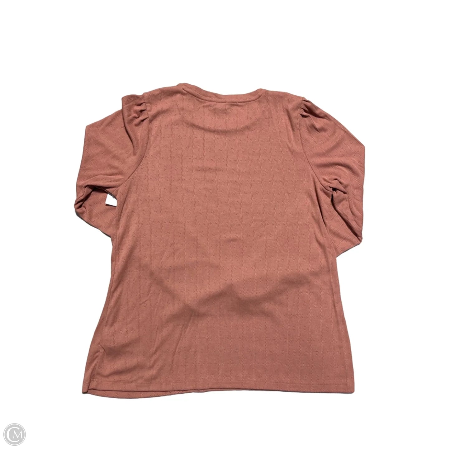 Top Long Sleeve By Well Worn In Peach, Size: L