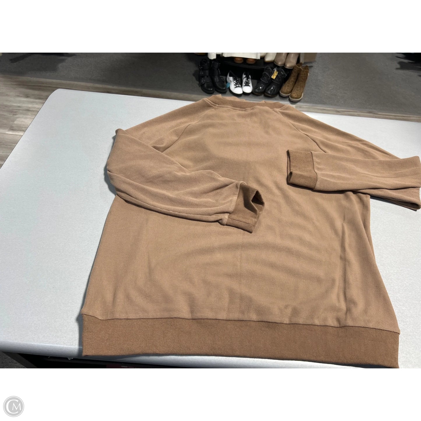 Sweatshirt Hoodie By Doe & Rae In Brown, Size: 3x