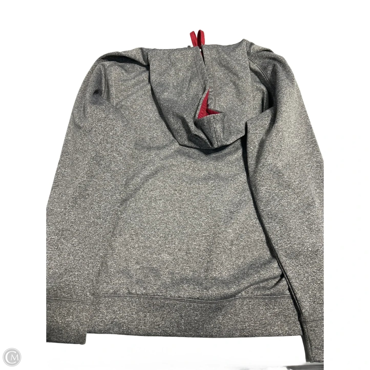 Sweatshirt Hoodie By Champion In Grey, Size: L