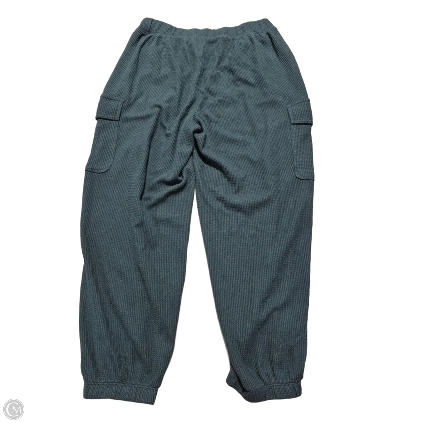Pants Other By Aerie In Green, Size: M