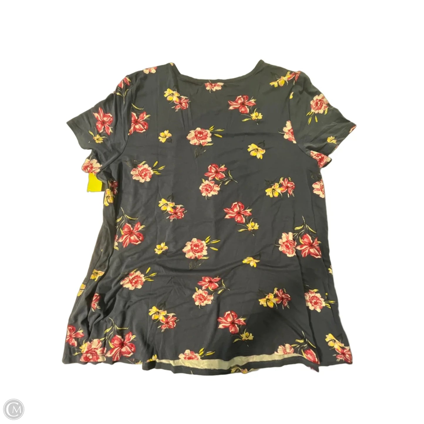 Top Short Sleeve By Torrid In Blue, Size: 2x