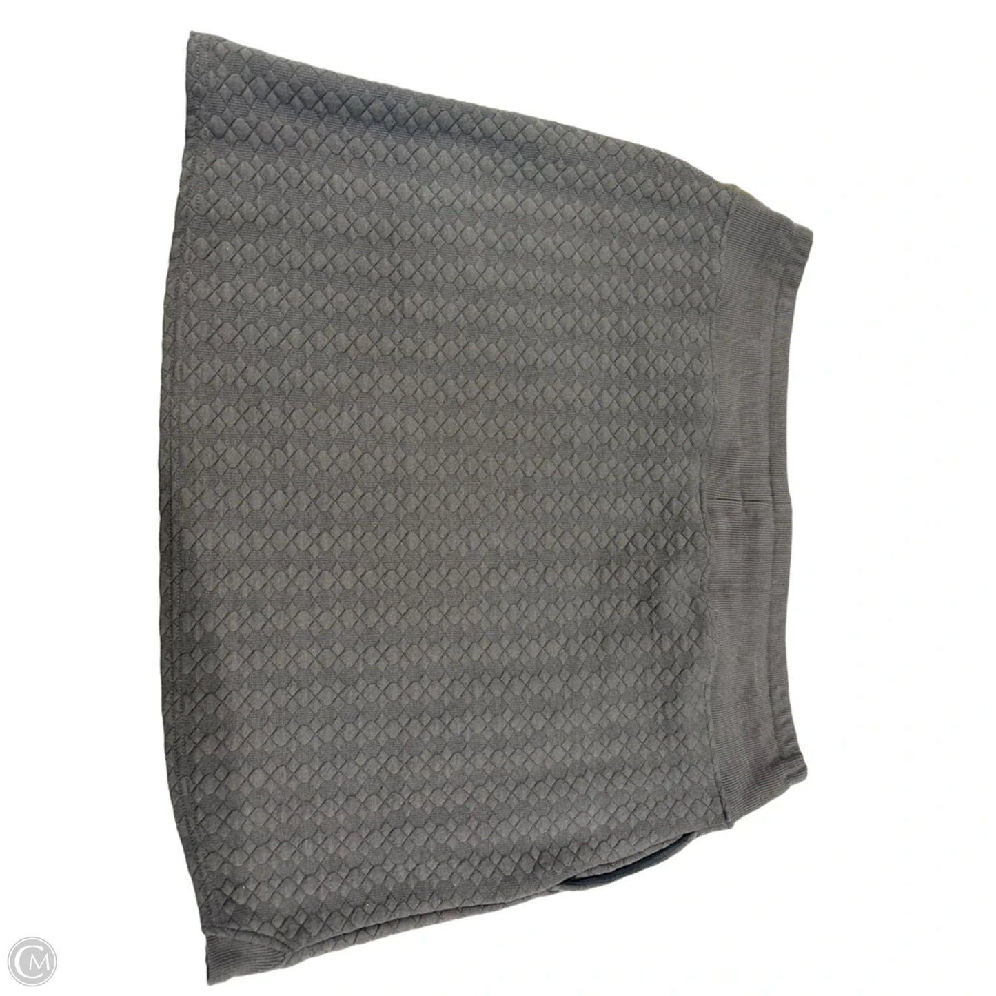 Skirt Set 2pc By Cmc In Grey, Size: Xl