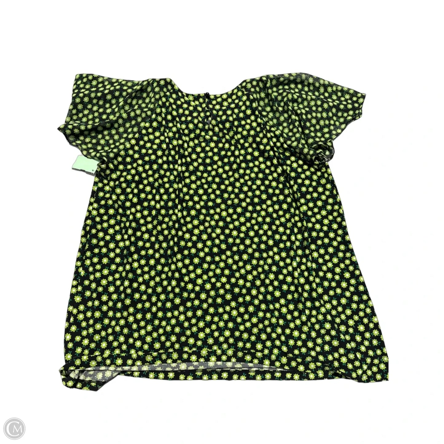 Top Short Sleeve By Cato In Green, Size: 2x
