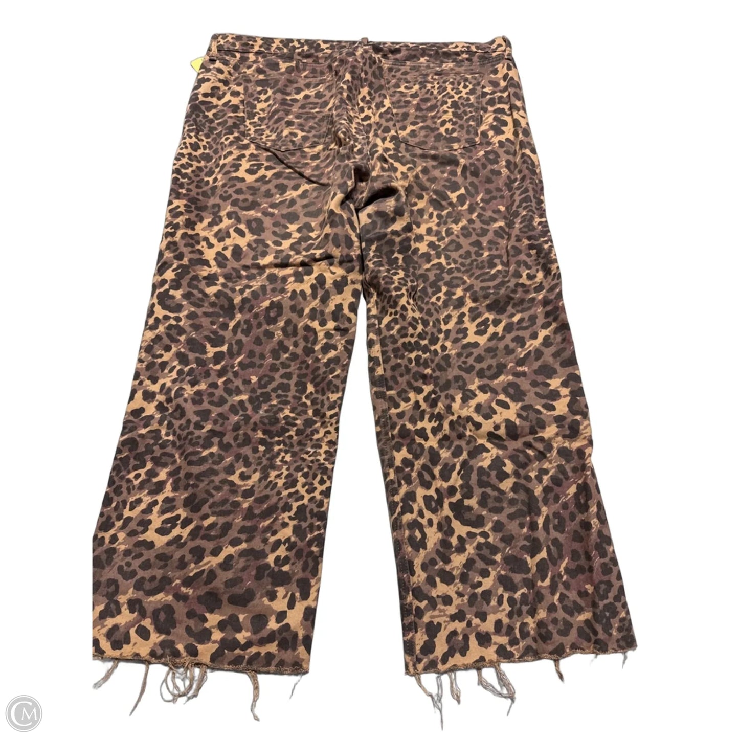 Pants Chinos & Khakis By Abercrombie And Fitch In Animal Print, Size: 18