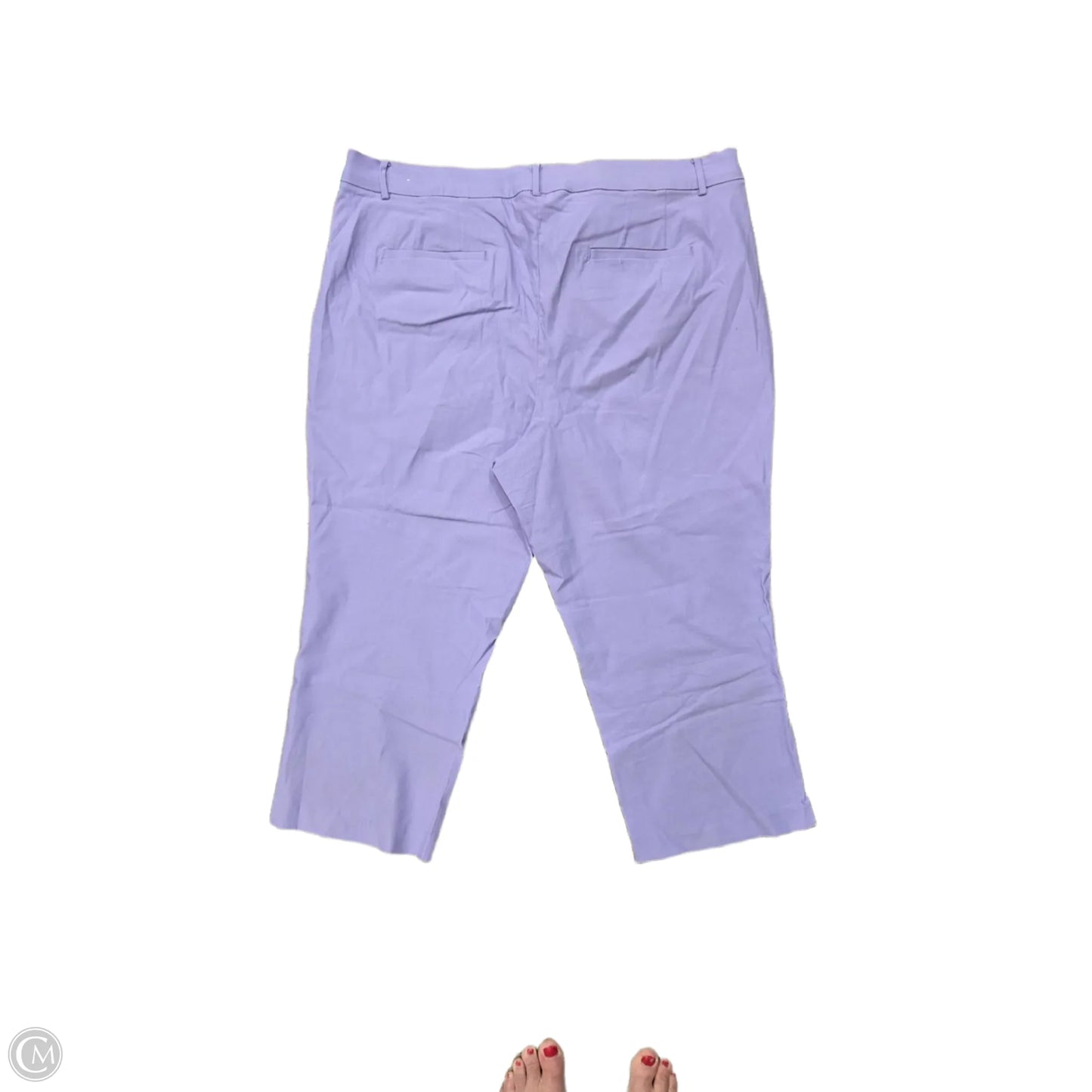 Pants Chinos & Khakis By Lane Bryant In Purple, Size: 24