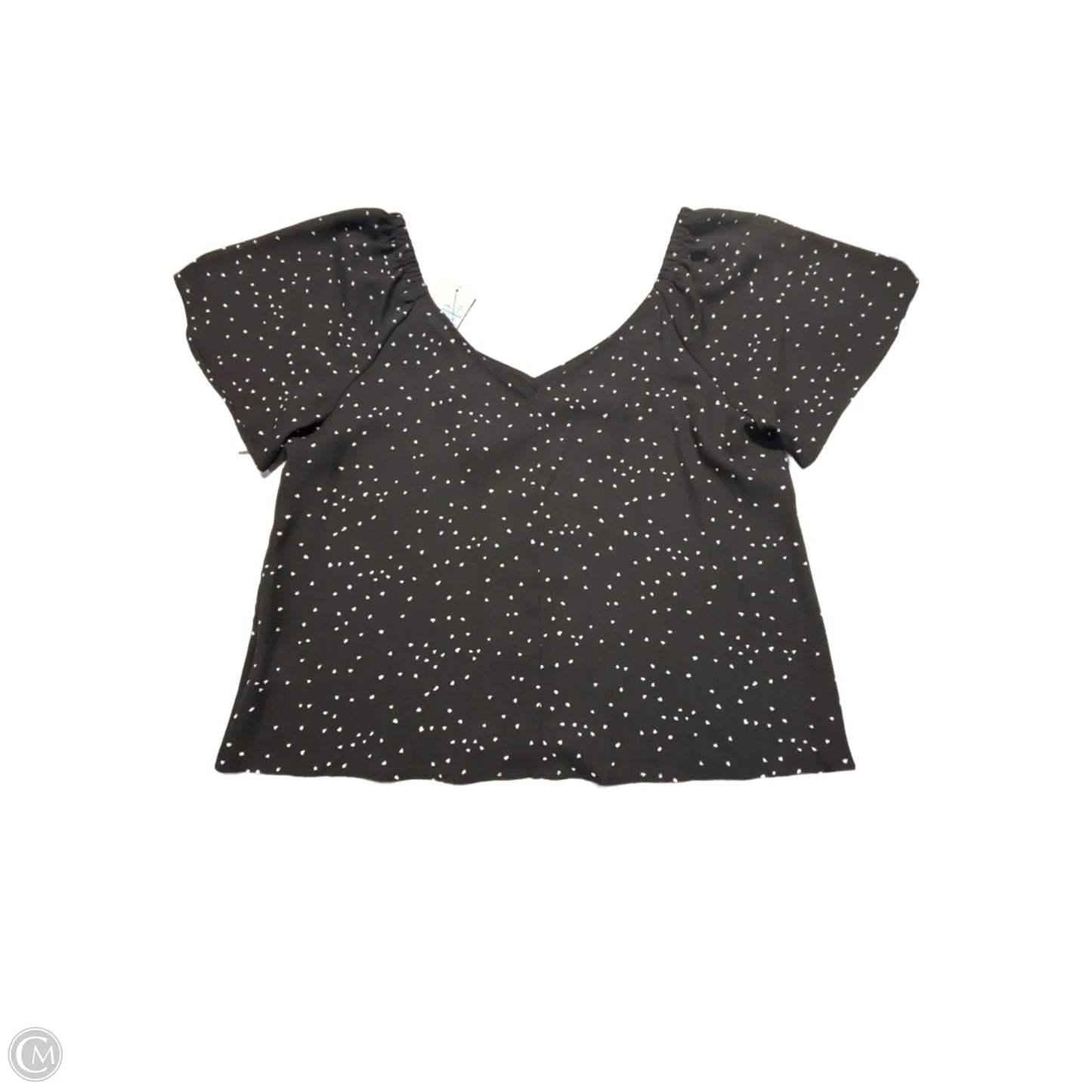 Top Short Sleeve By Lush In Black, Size: L