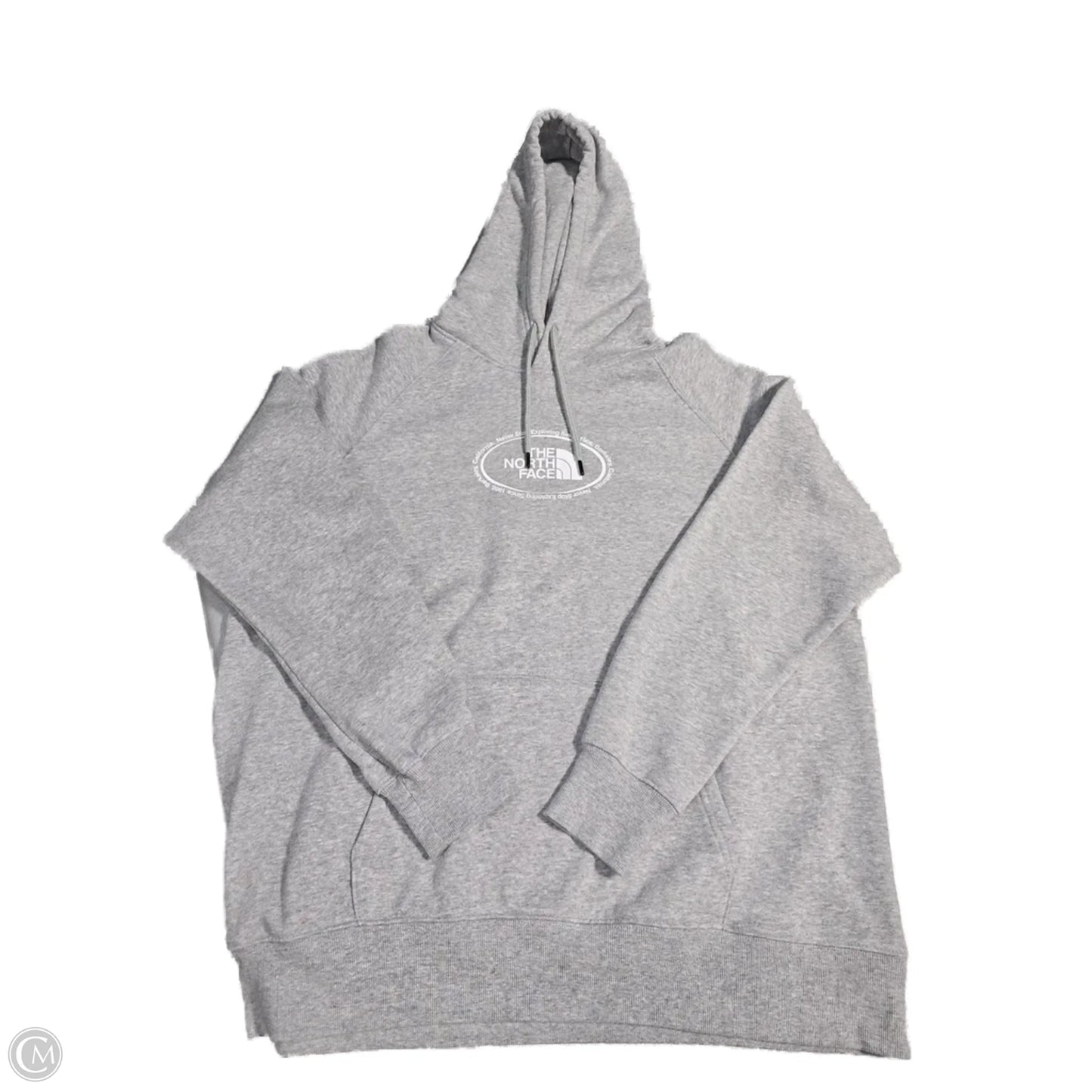Sweatshirt Hoodie By The North Face In Grey, Size: Xl
