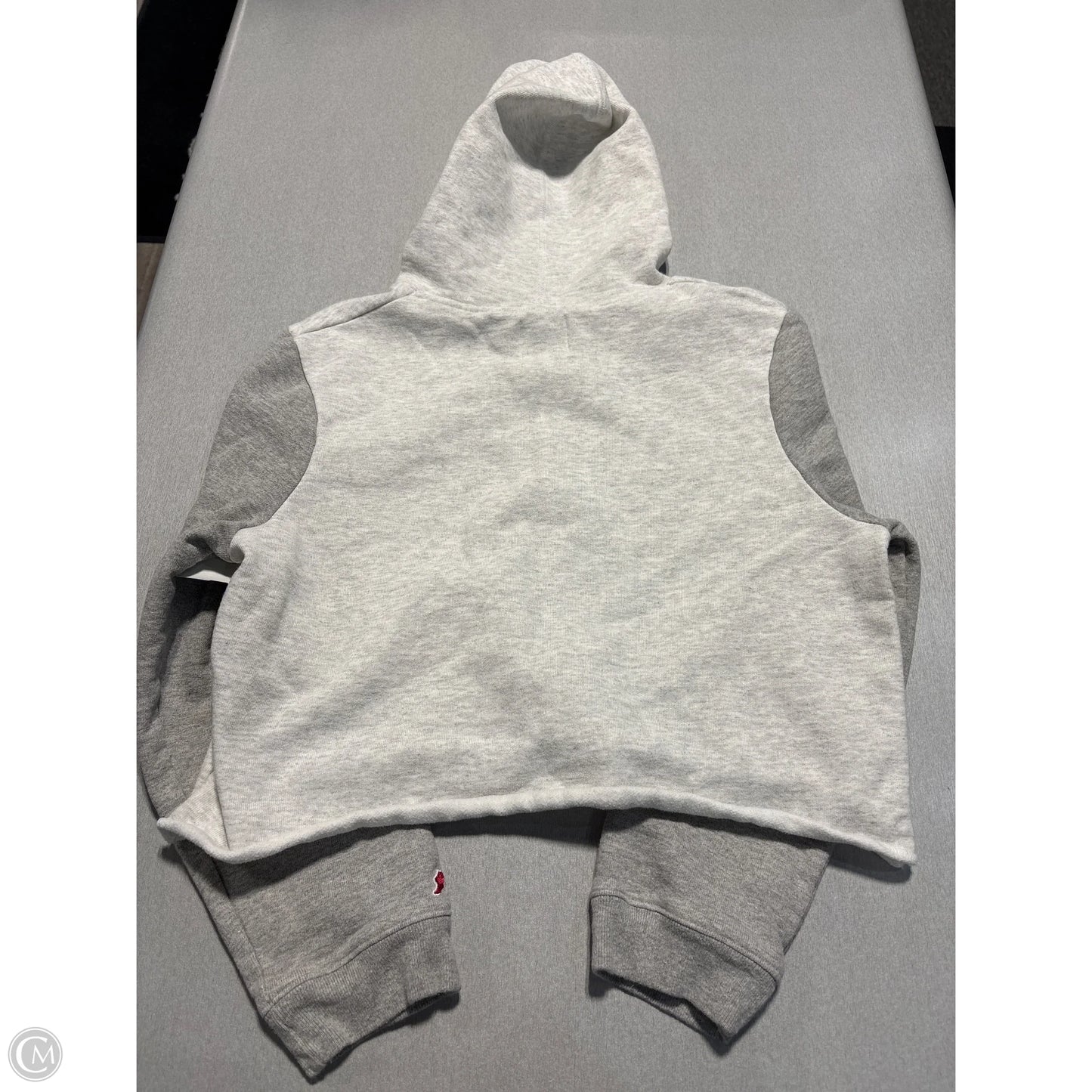 Sweatshirt Hoodie By Cme In Grey, Size: L
