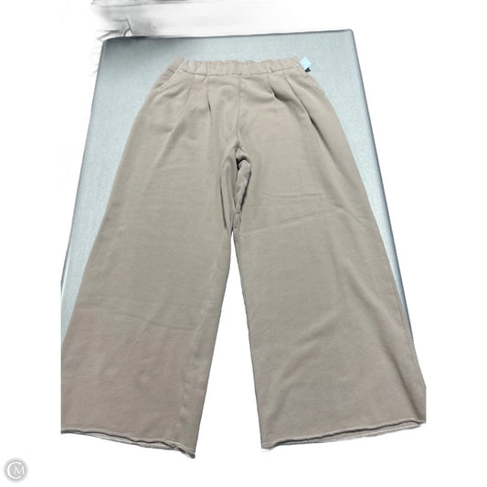 Pants Lounge By Aerie In Tan, Size: Mp