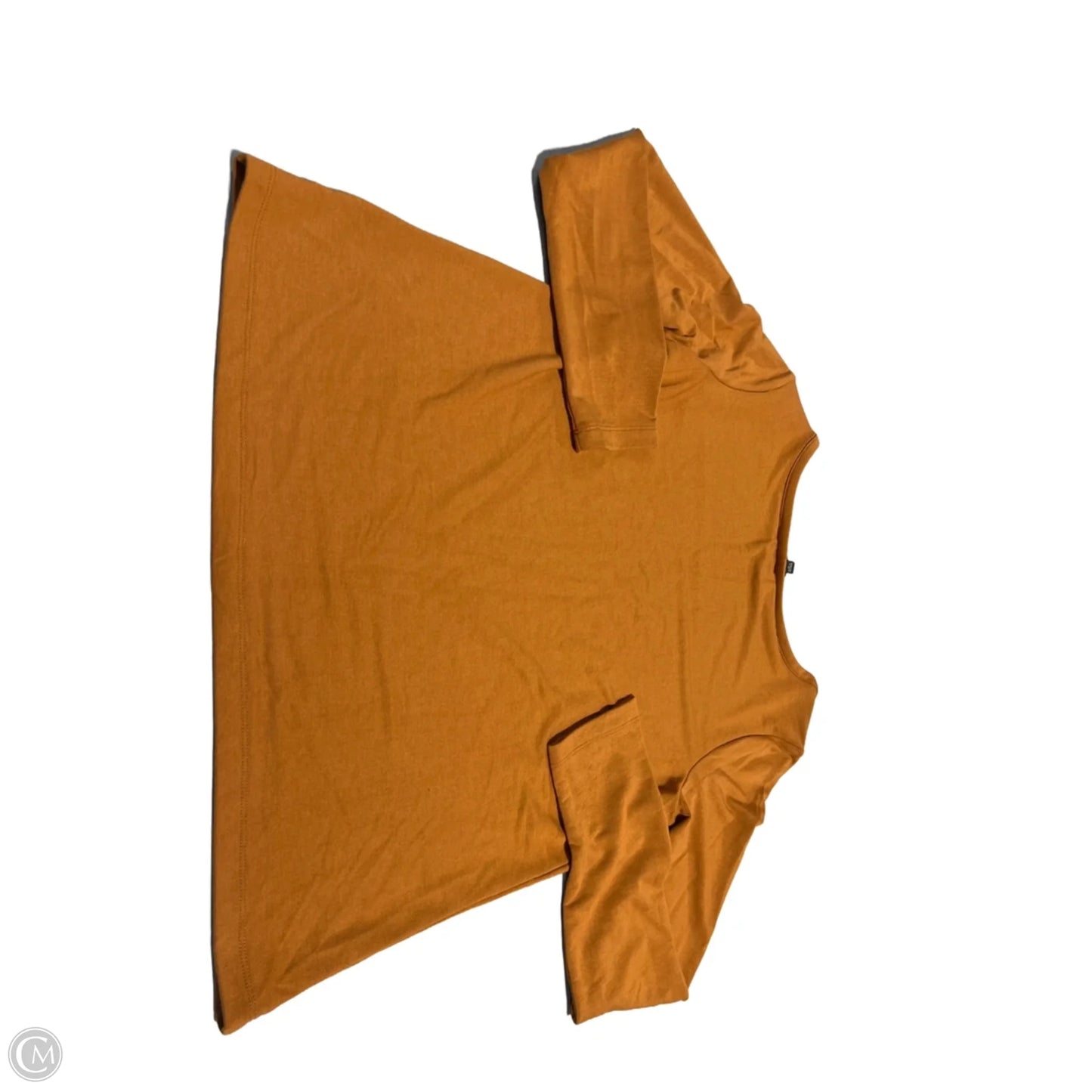 Top Long Sleeve Basic By Banana Republic In Tan, Size: L