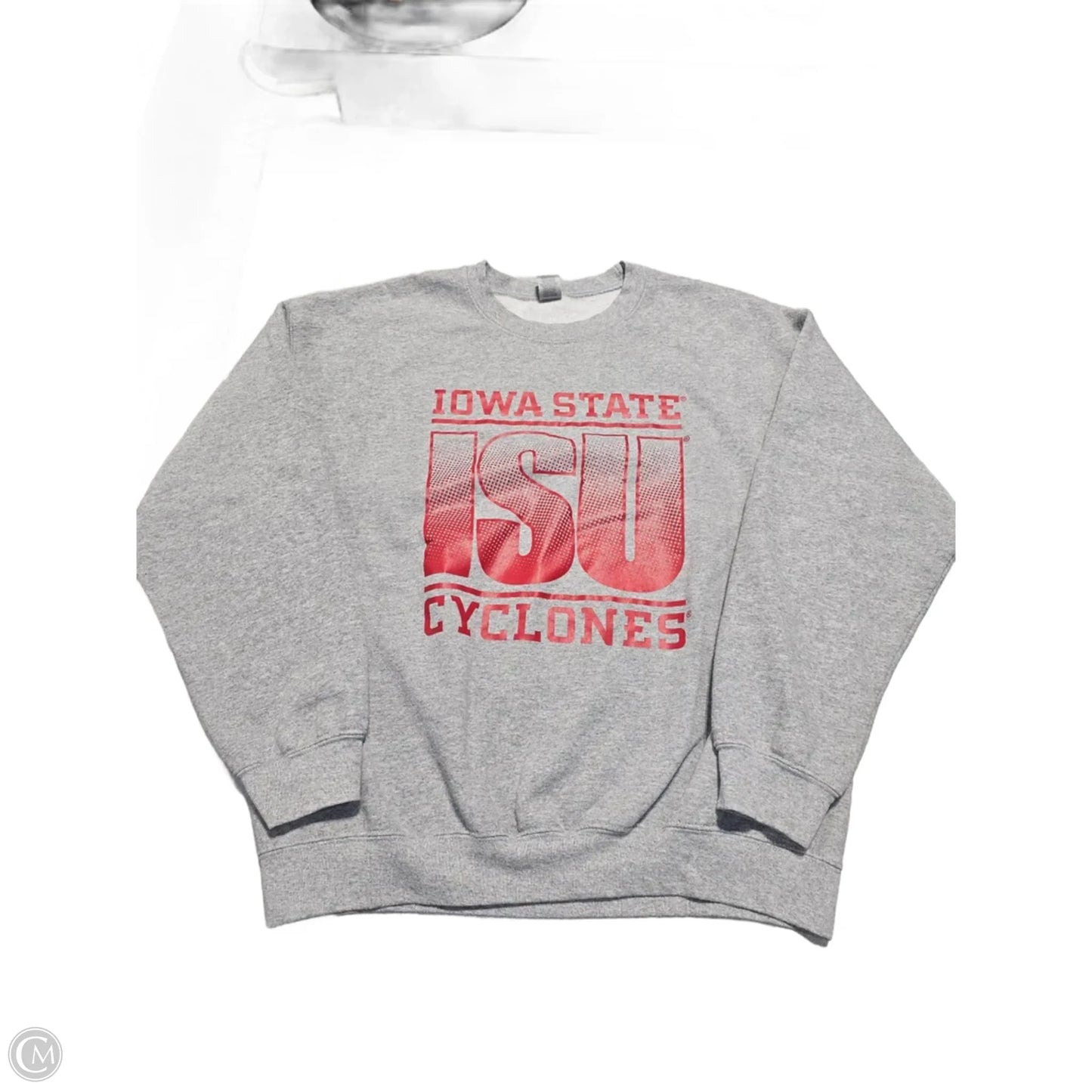 Sweatshirt Crewneck By Gildan In Grey, Size: L