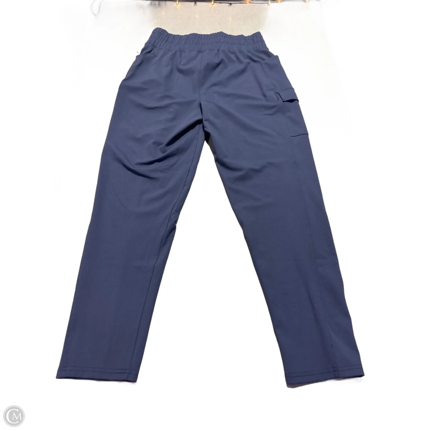 Pants Cargo & Utility By Avalanche In Navy, Size: S