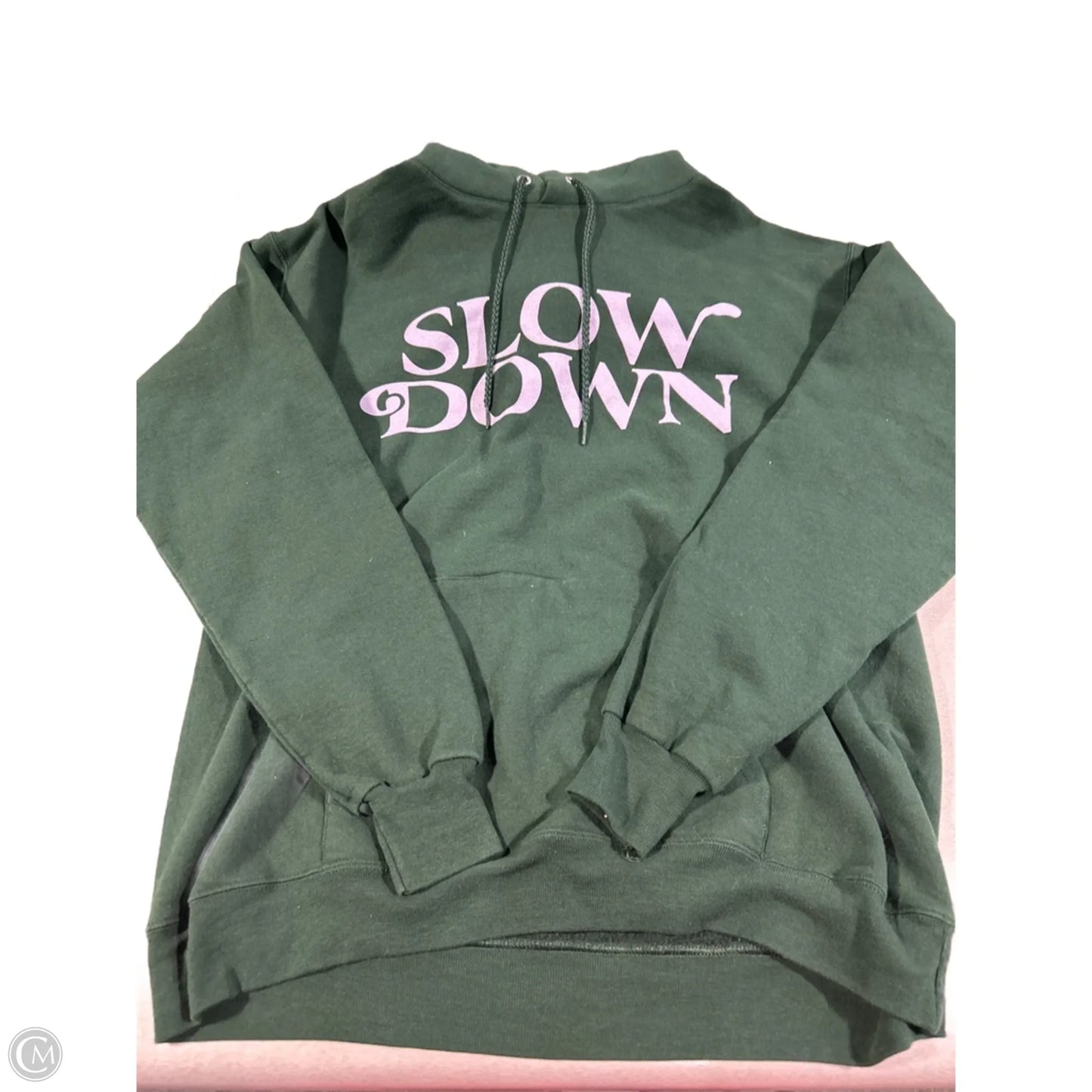 Sweatshirt Hoodie By Hanes In Green, Size: M