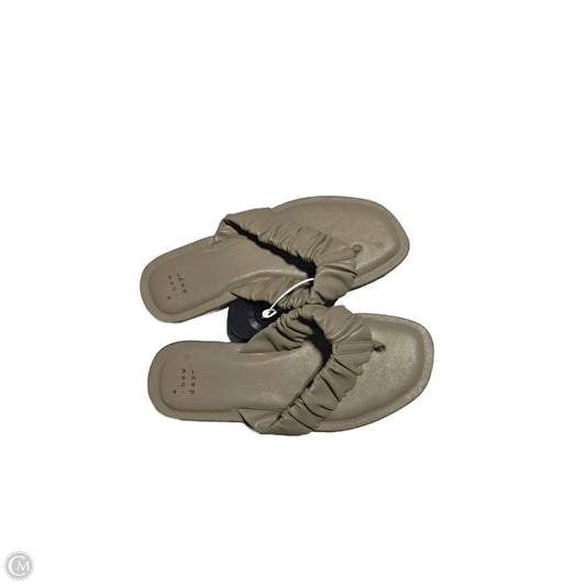 Sandals Flip Flops By A New Day In Green, Size: 7