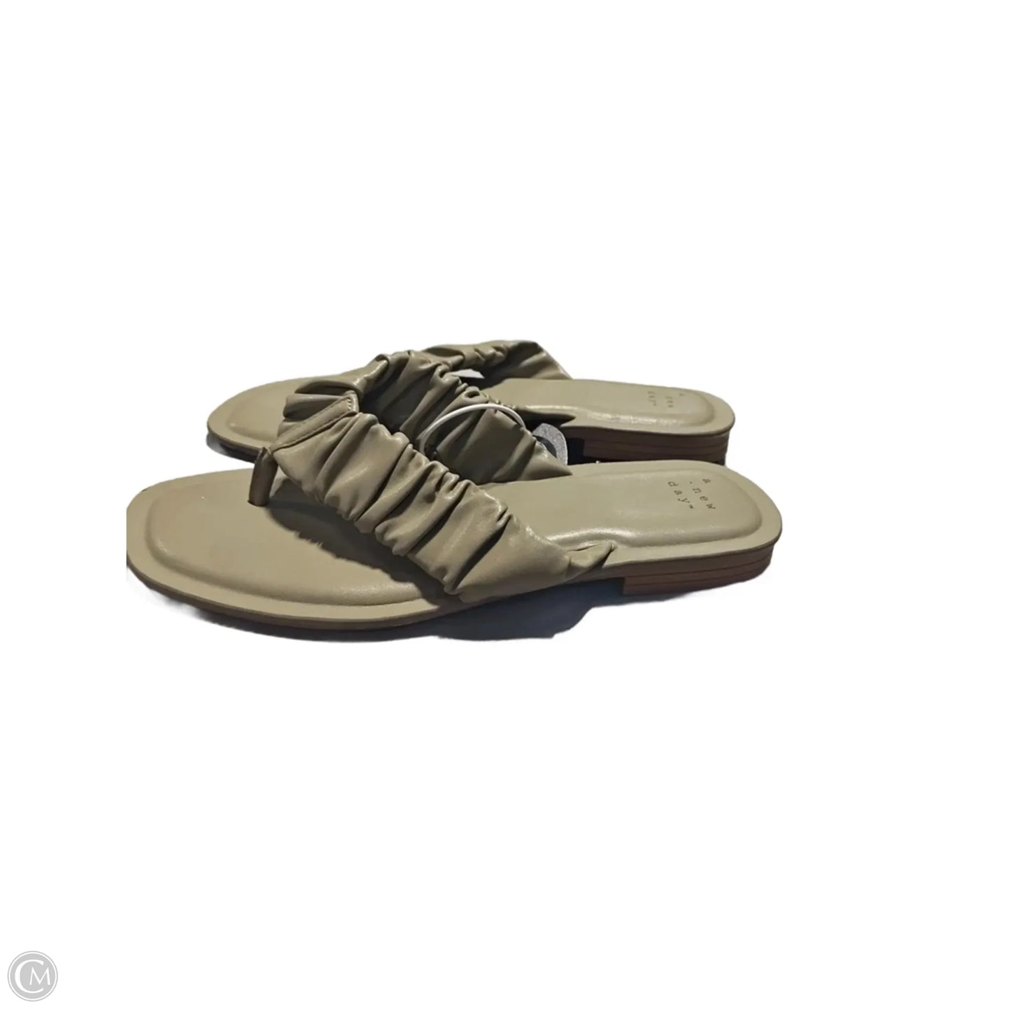 Sandals Flip Flops By A New Day In Green, Size: 7