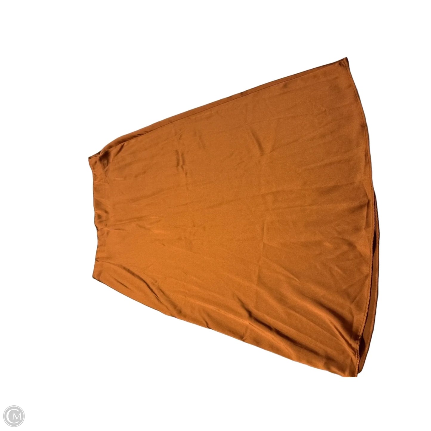Skirt Maxi By French Connection In Brown, Size: Xl