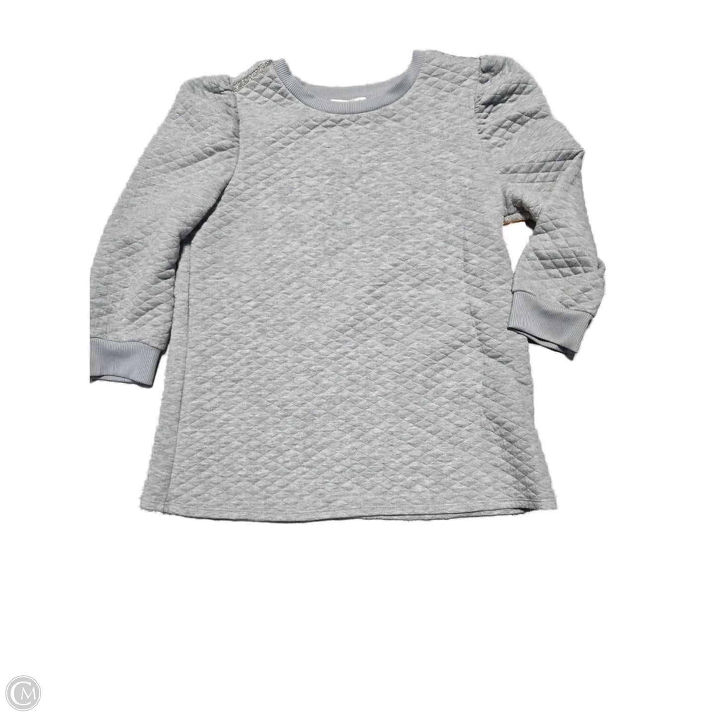 Sweatshirt Crewneck By Retrology In Grey, Size: M