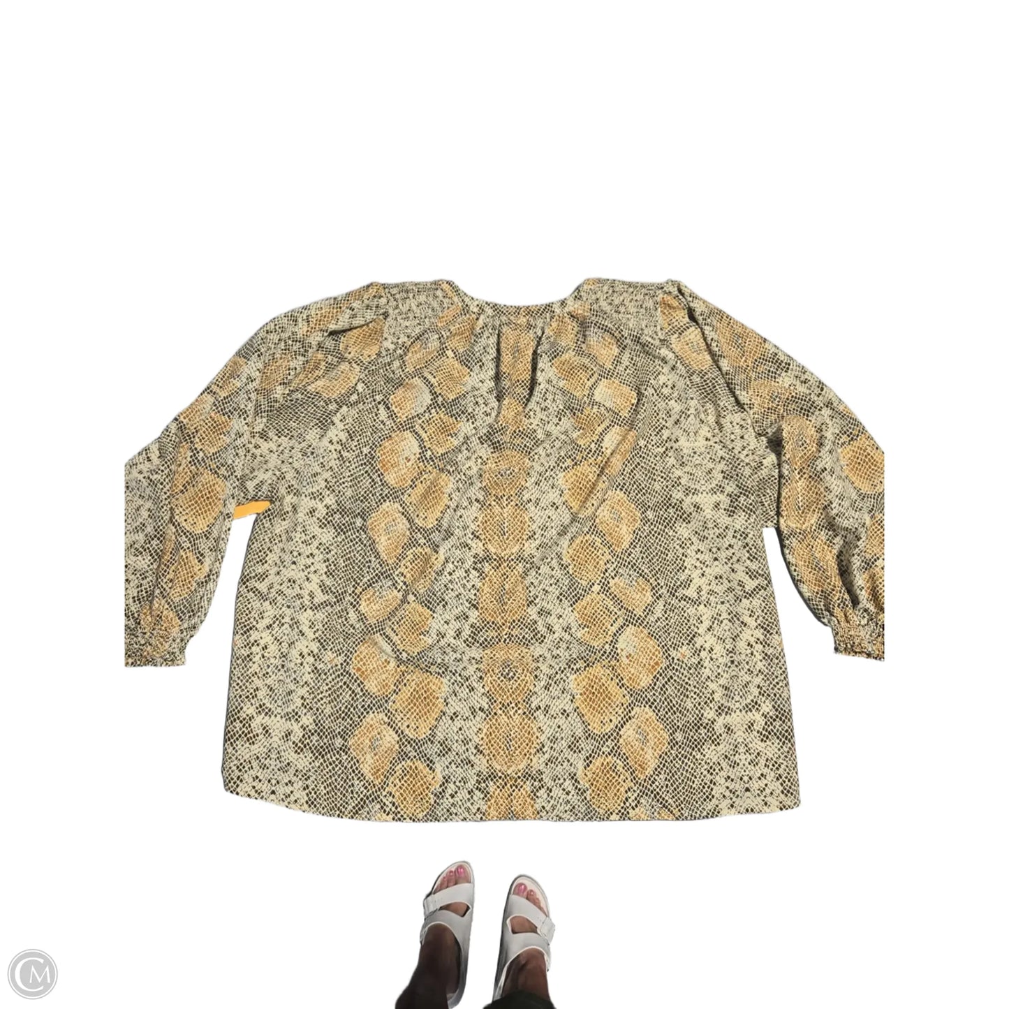 Blouse 3/4 Sleeve By Ava & Viv In Snakeskin Print, Size: 2x