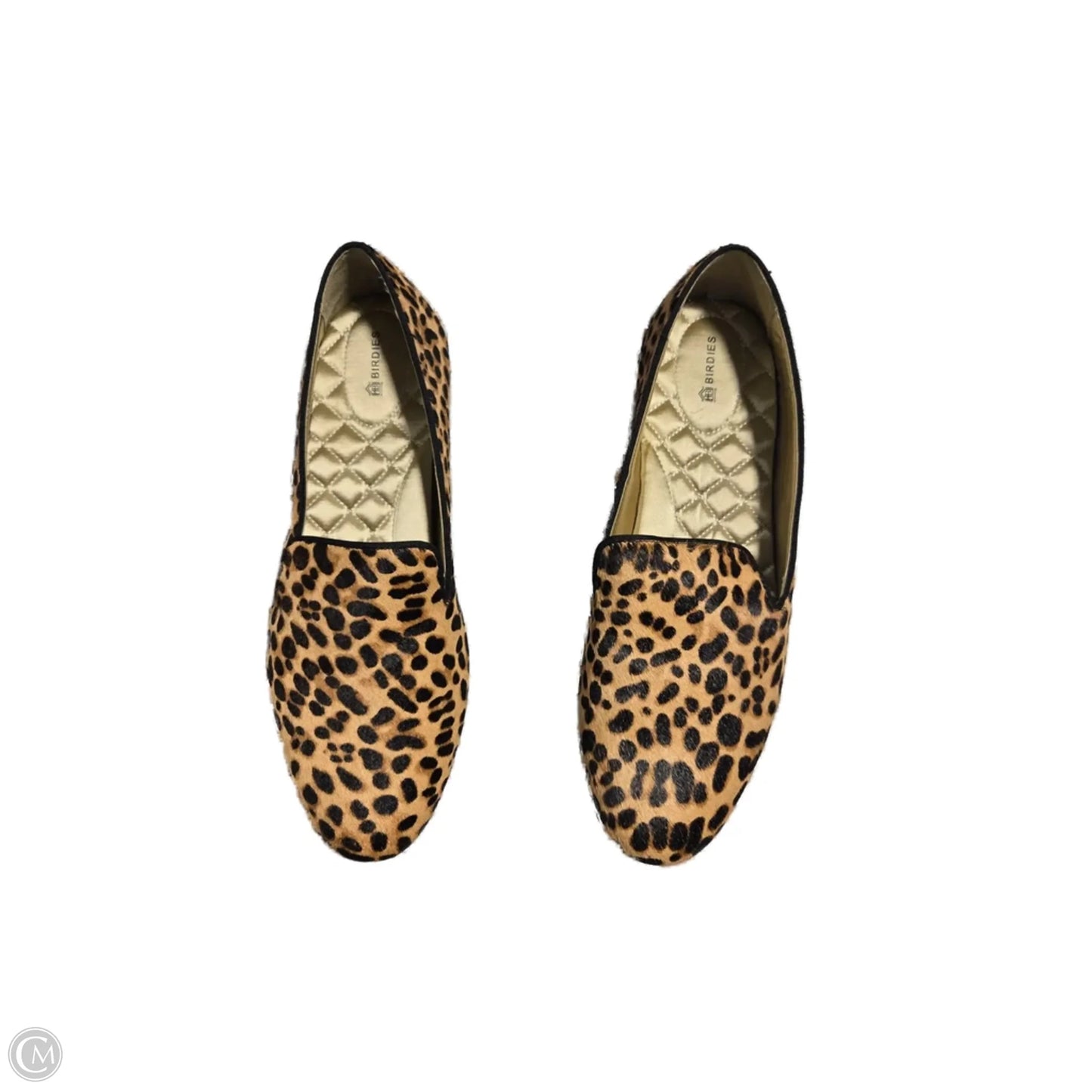 Shoes Flats By Birdies In Animal Print, Size: 11