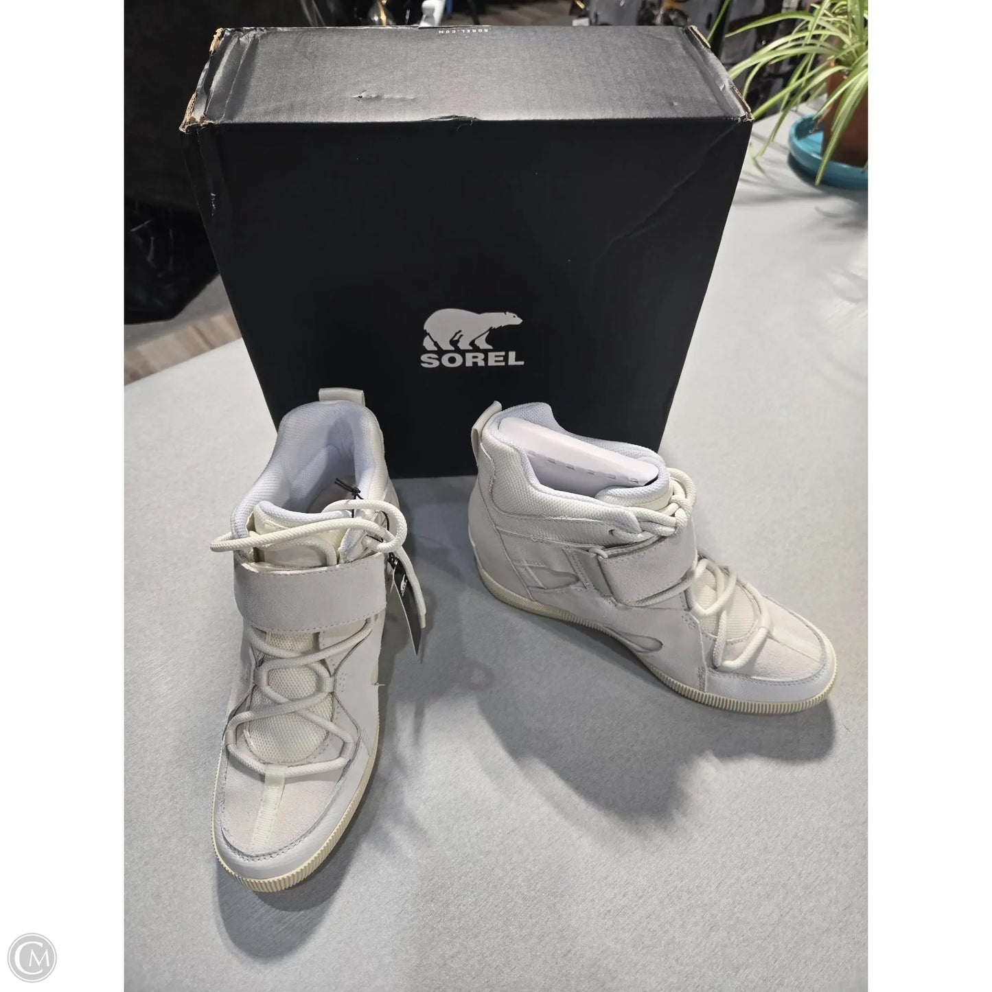 Boots Ankle Heels By Sorel In White, Size: 8.5