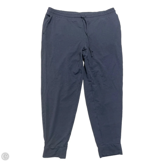 Pants Cargo & Utility By Pure Jill In Blue, Size: Xl