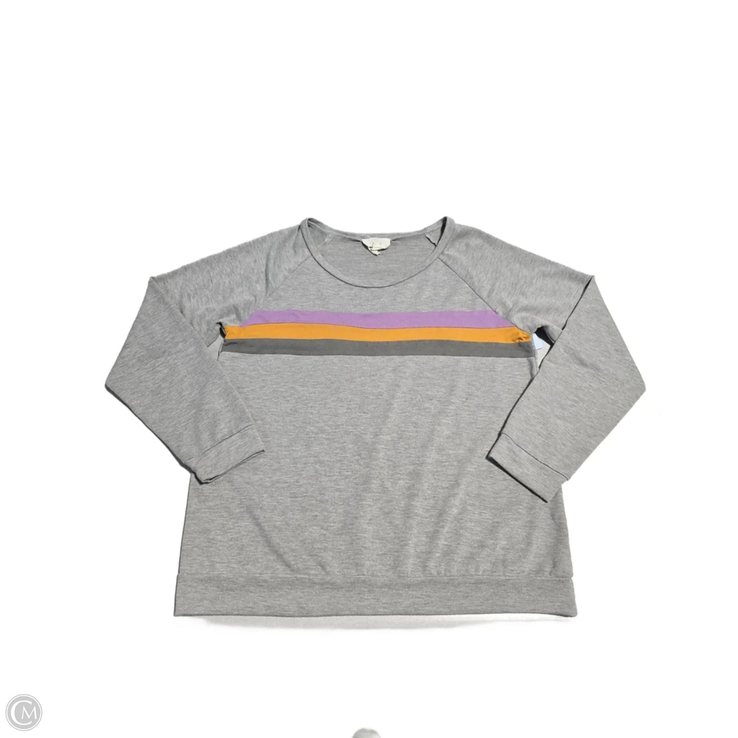 Top Long Sleeve By Fantastic Fawn In Grey, Size: L