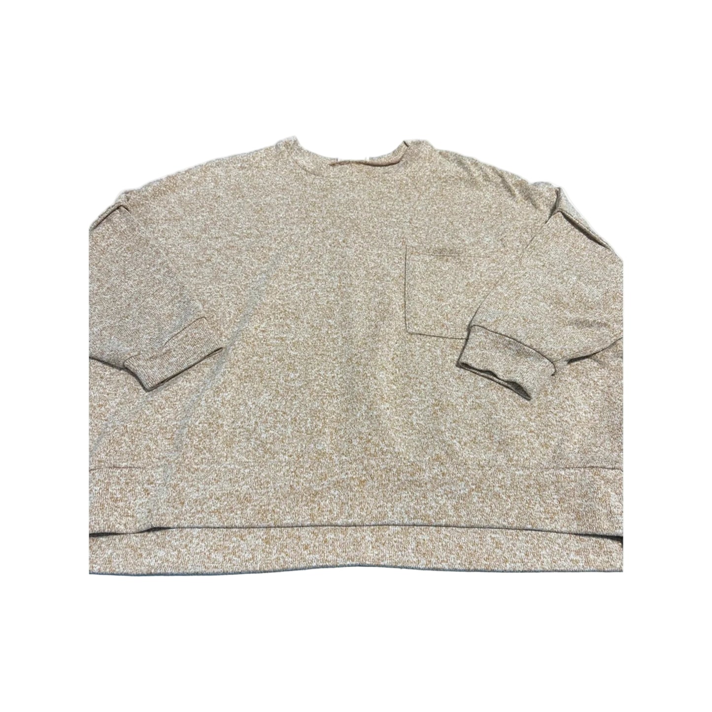 Top Long Sleeve By Zenana In Tan, Size: 1x