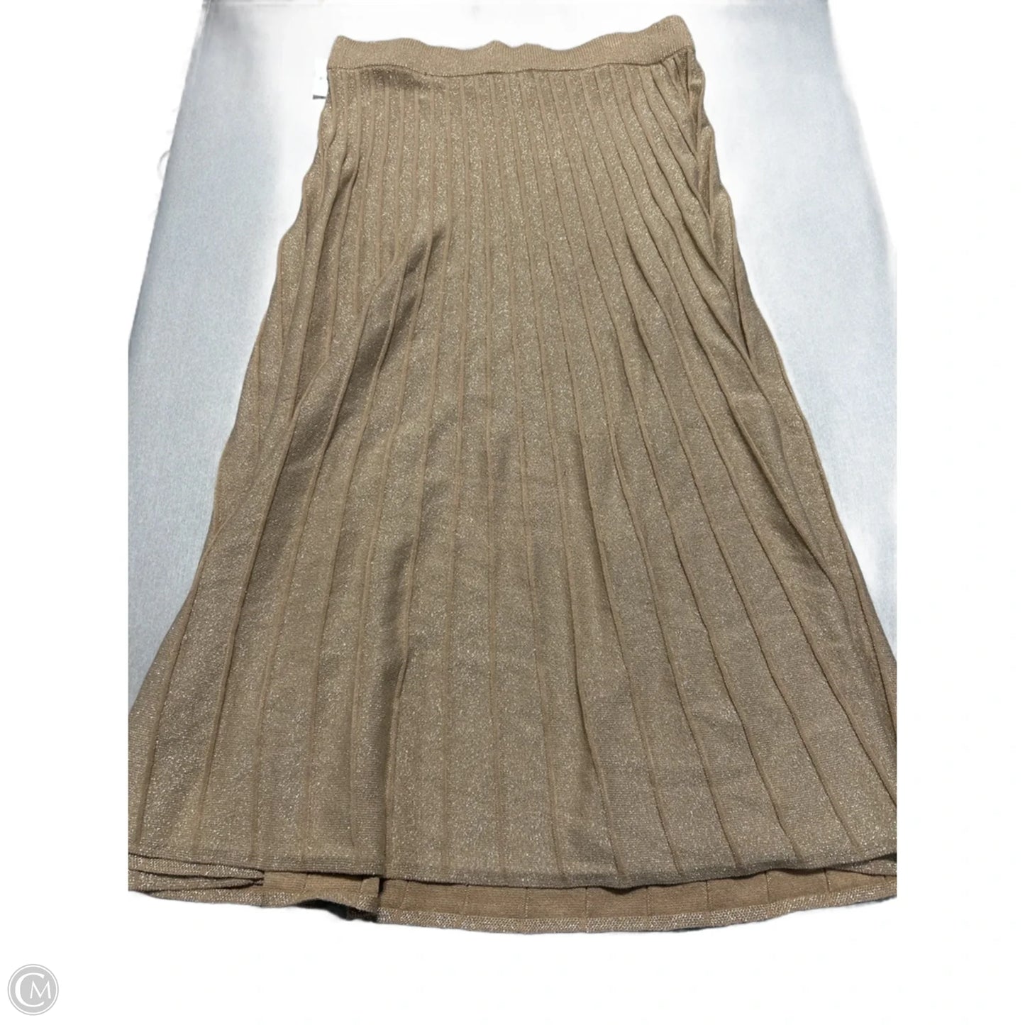 Skirt Maxi By Ann Taylor In Gold, Size: L