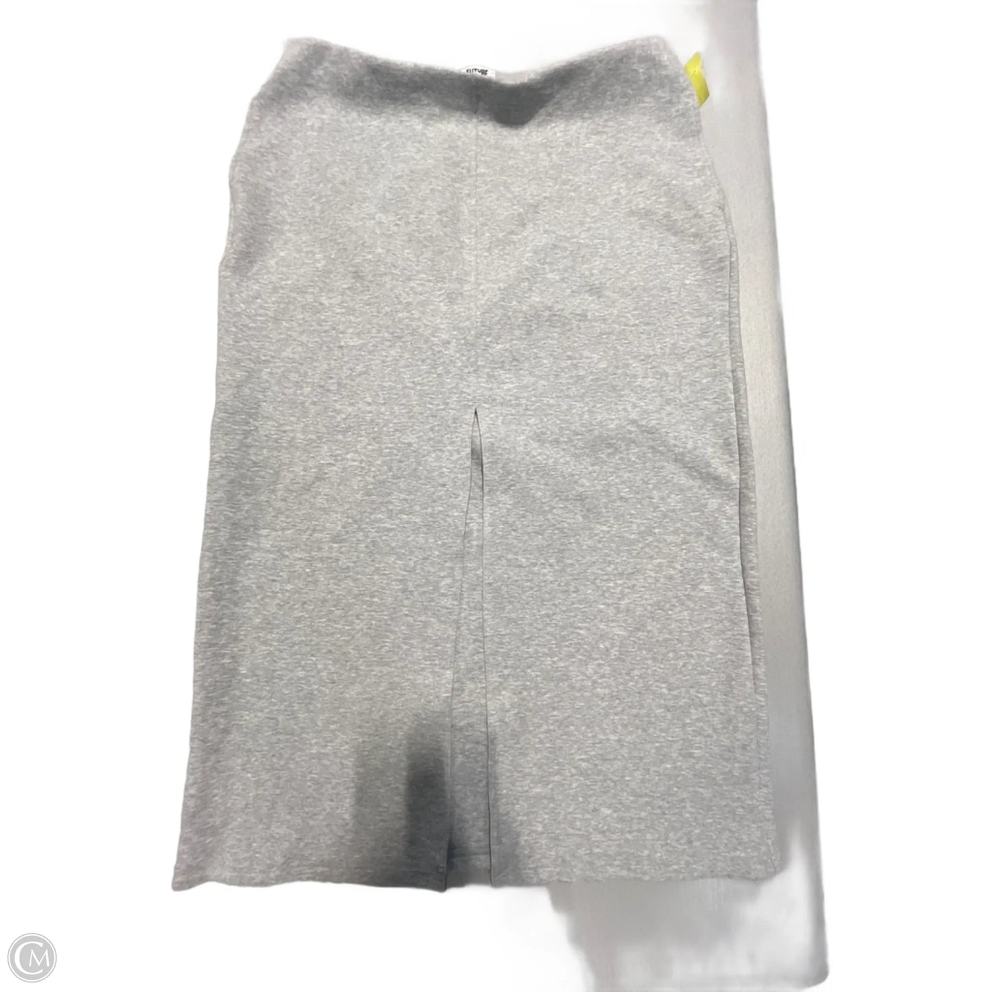 Skirt Maxi By Future Collective In Grey, Size: Xxl