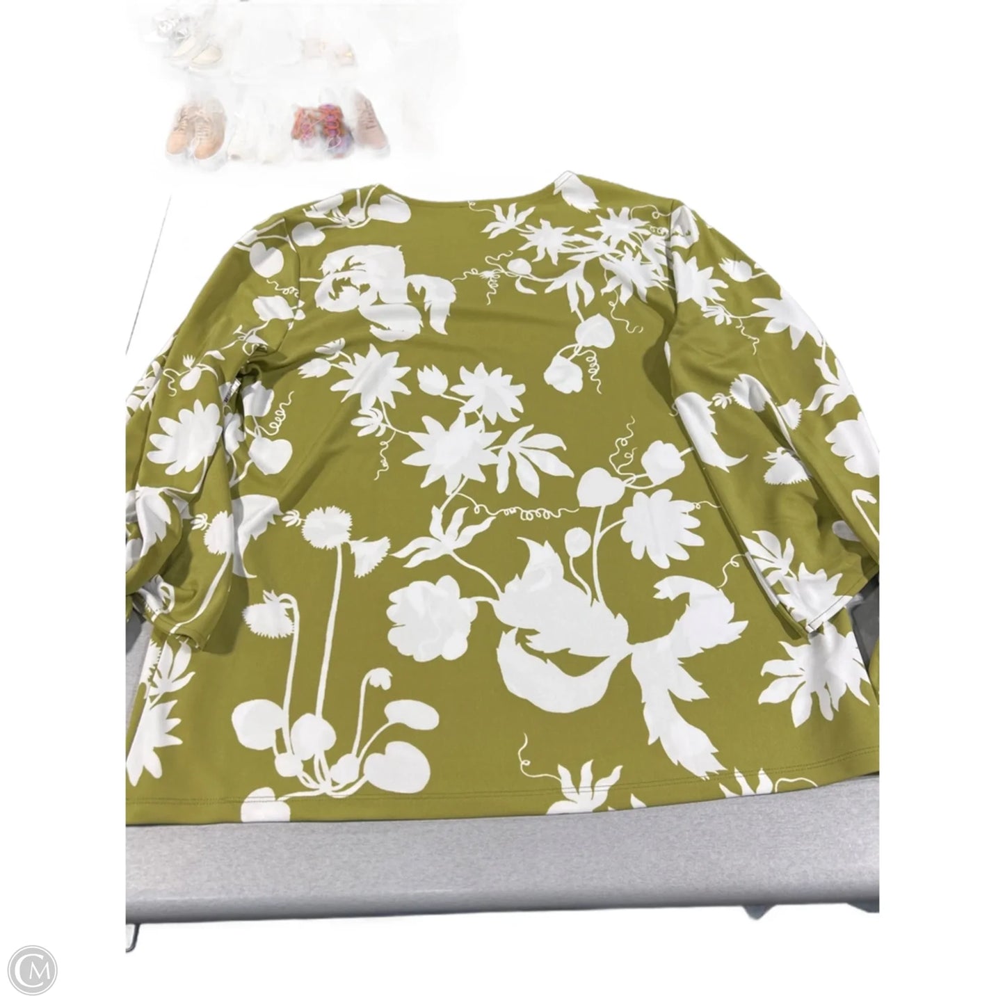 Top Long Sleeve By Ann Taylor In Green & White, Size: Xl