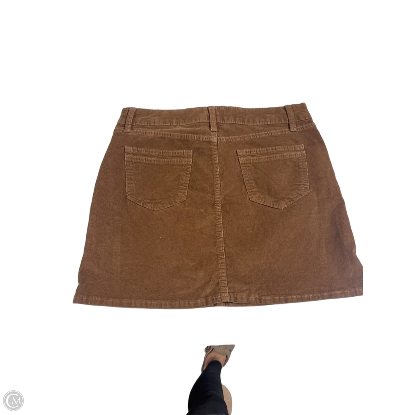 Skirt Mini & Short By Time And Tru In Brown, Size: 14