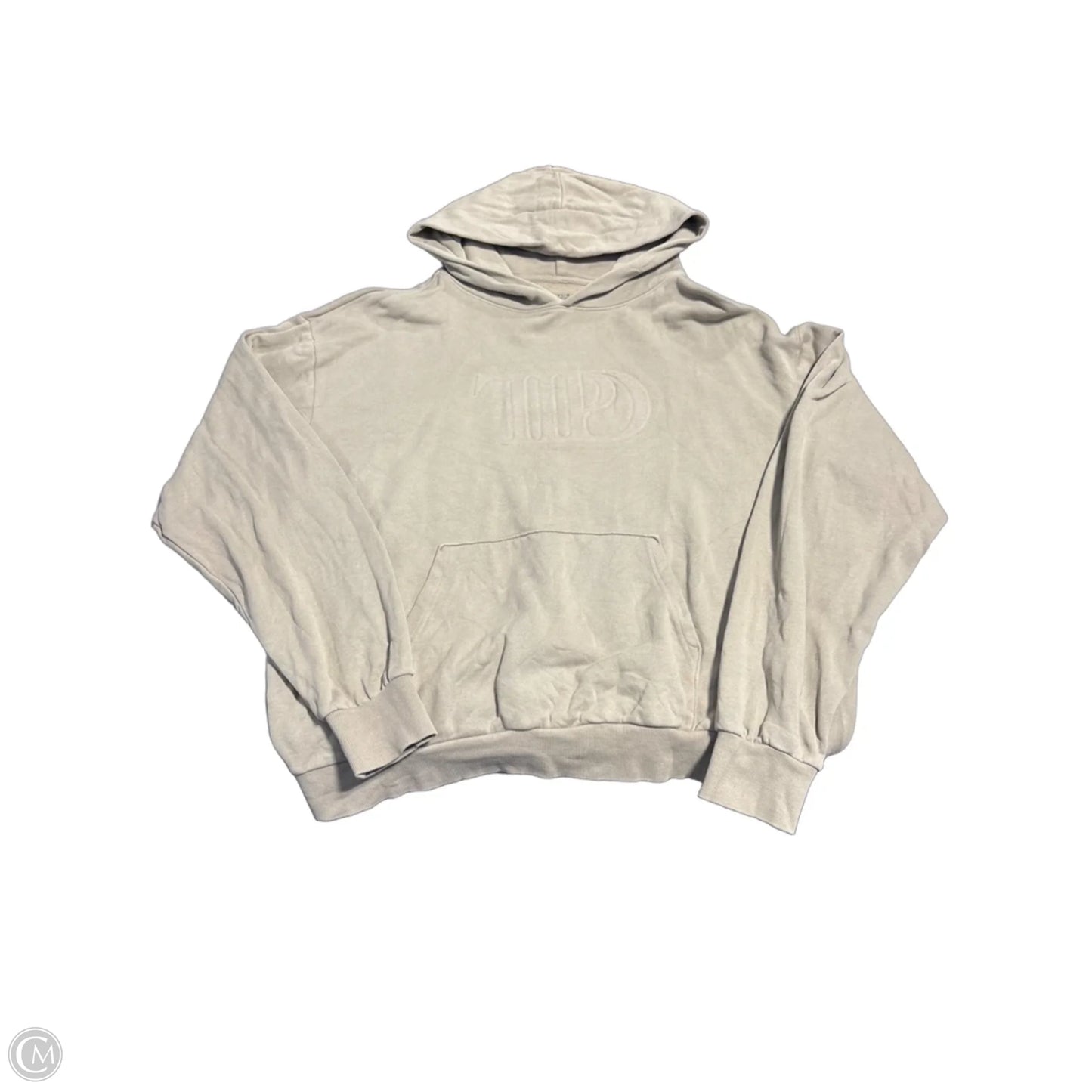 Sweatshirt Hoodie By Cmb In Tan, Size: 2x