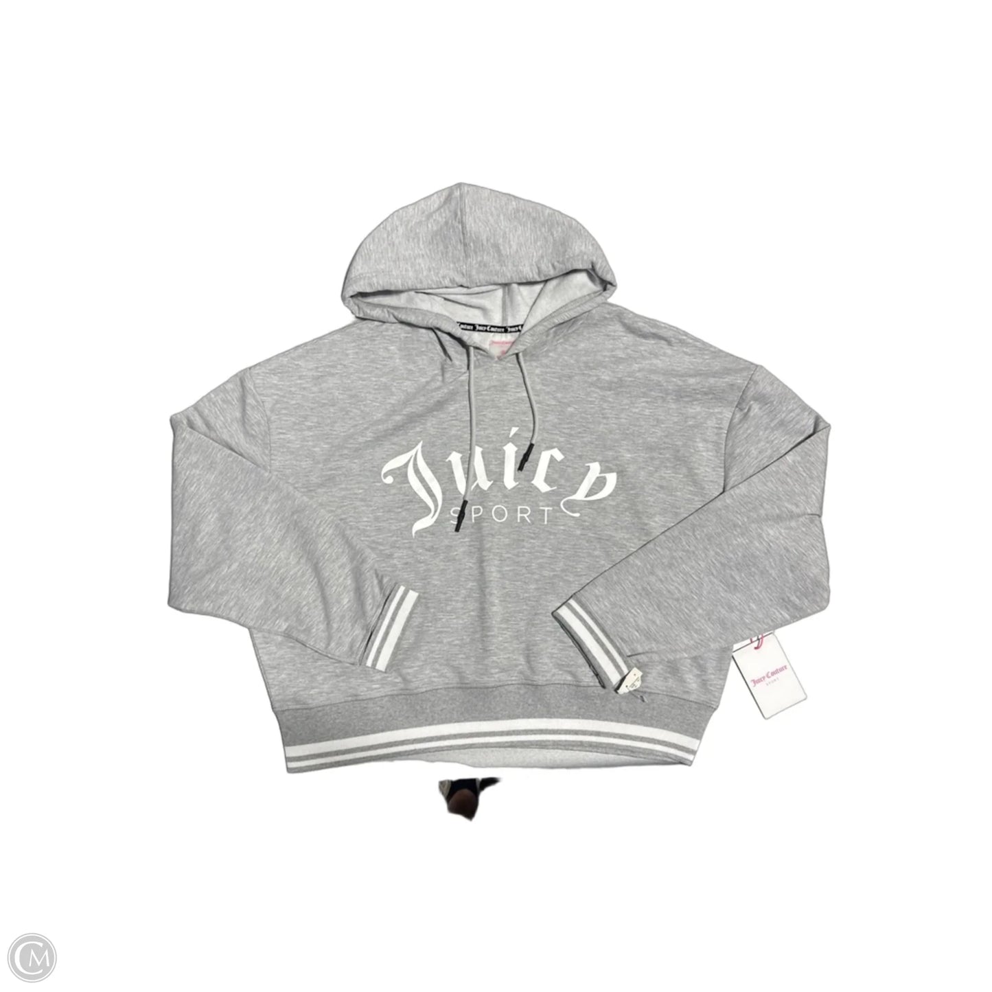 Sweatshirt Hoodie By Juicy Couture In Grey, Size: Xl