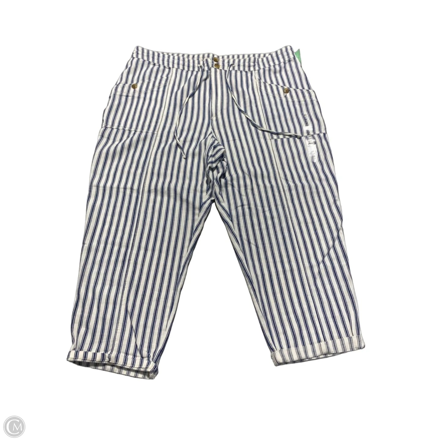 Pants Other By American Eagle In Striped Pattern, Size: 22